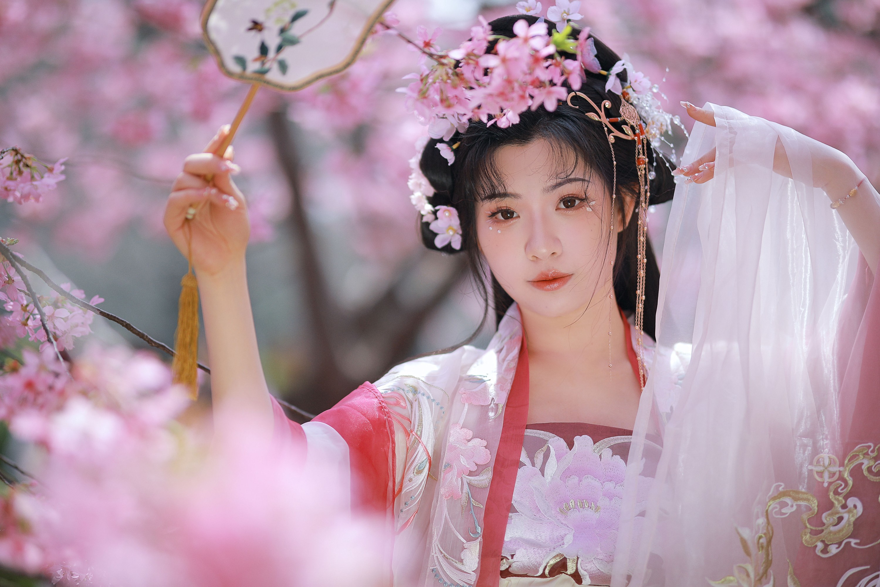 阿冥 – 《樱花仙子》[15P] 插图4