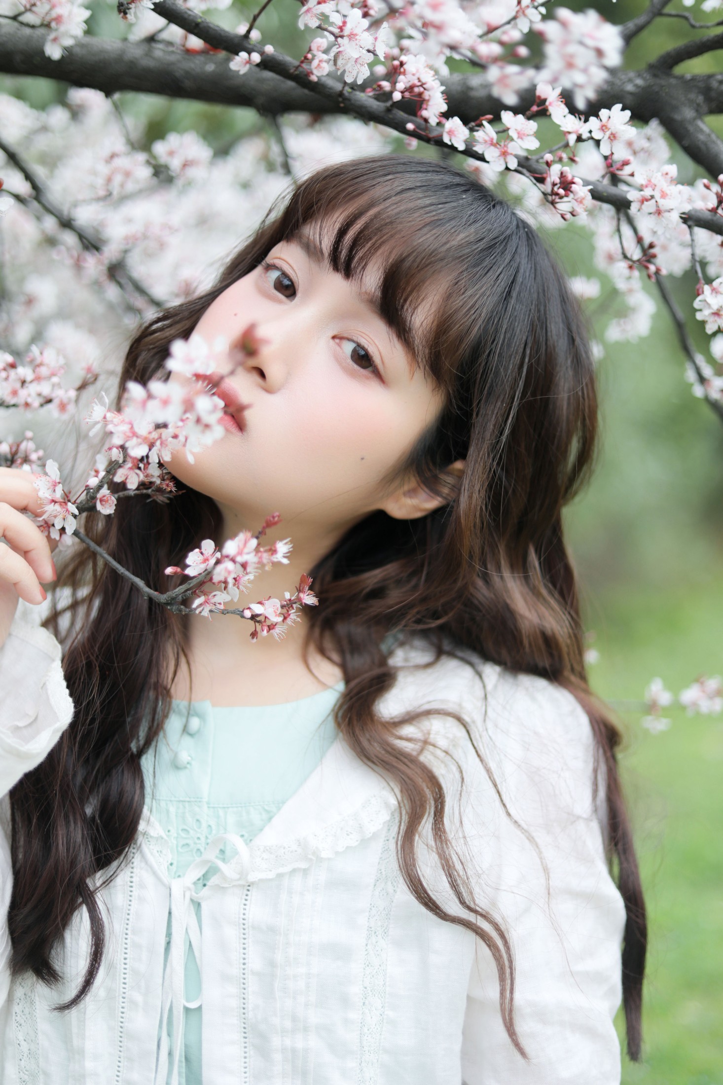 一颗虫牙 – 《春日序曲》[36P]-66COS