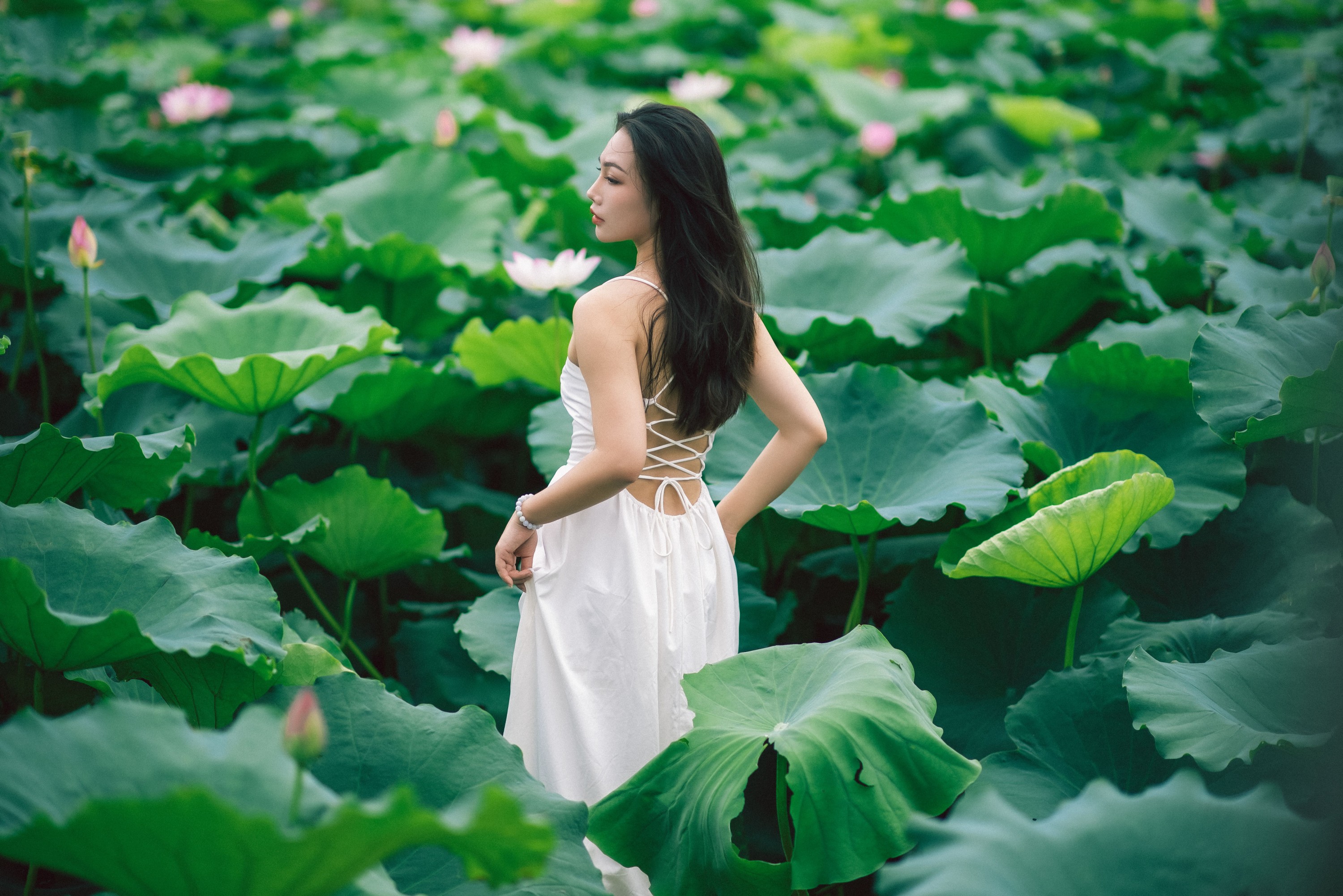 橘子 – 《雨荷》[26P]-66COS
