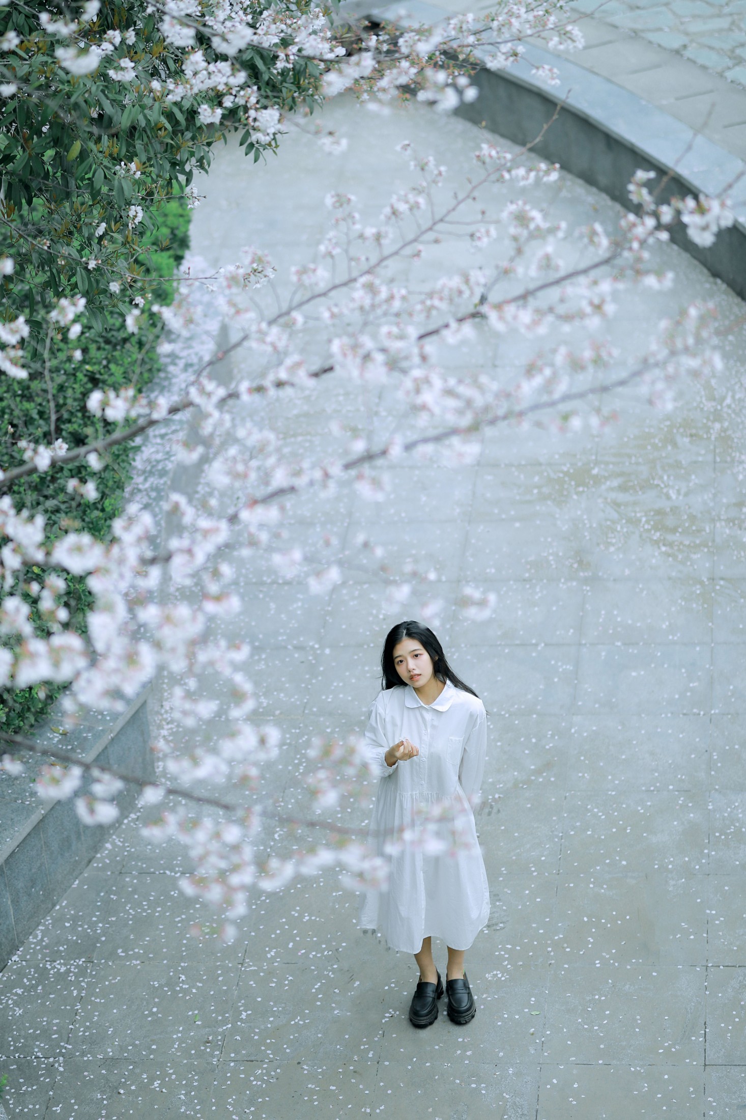 龙星儿 – 《樱花少女》[30P]-66COS