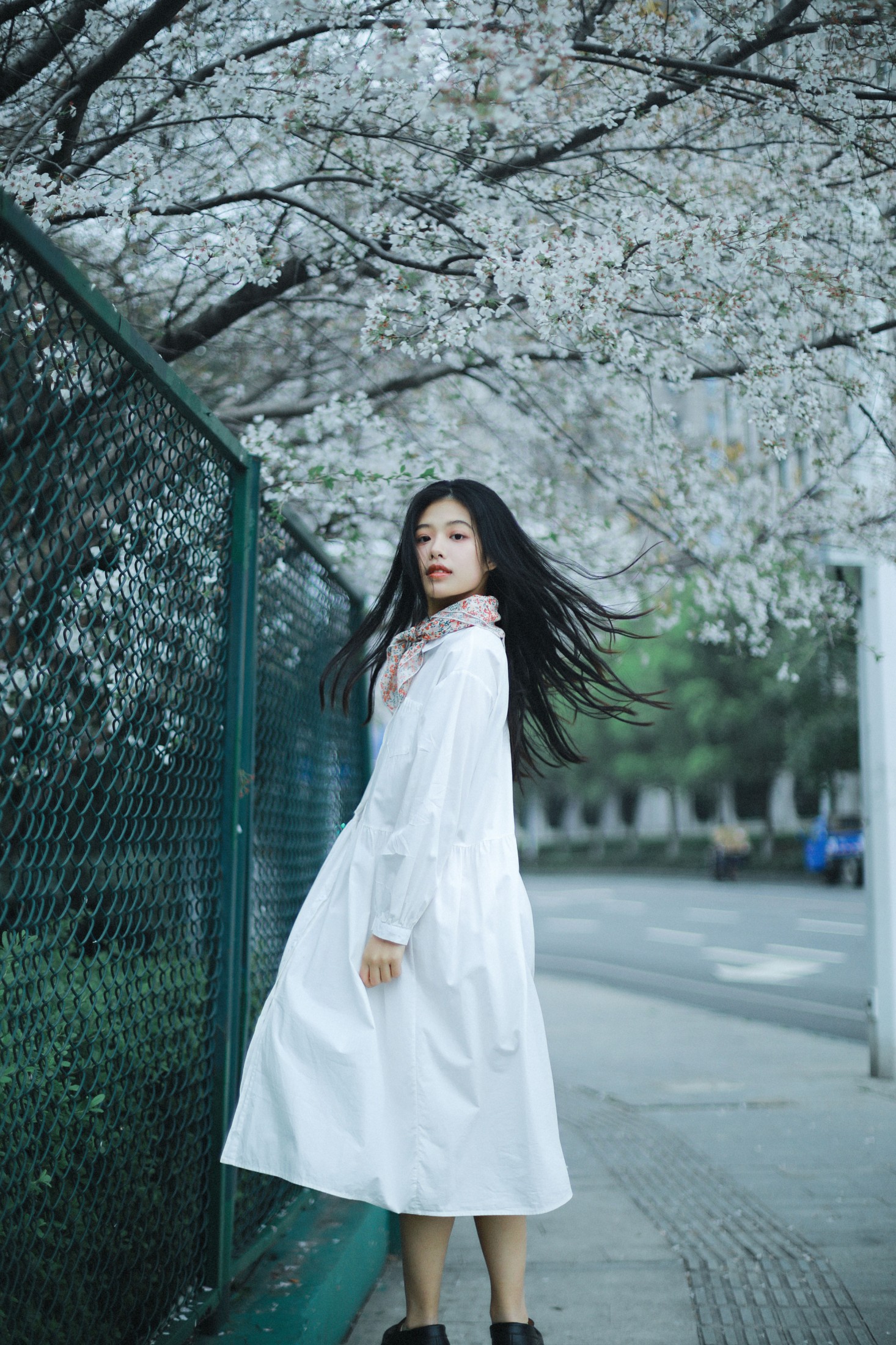 龙星儿 – 《樱花少女》[30P] 插图3