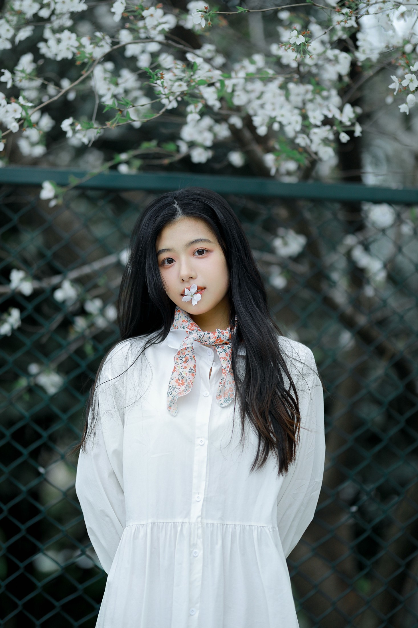 龙星儿 – 《樱花少女》[30P] 插图4