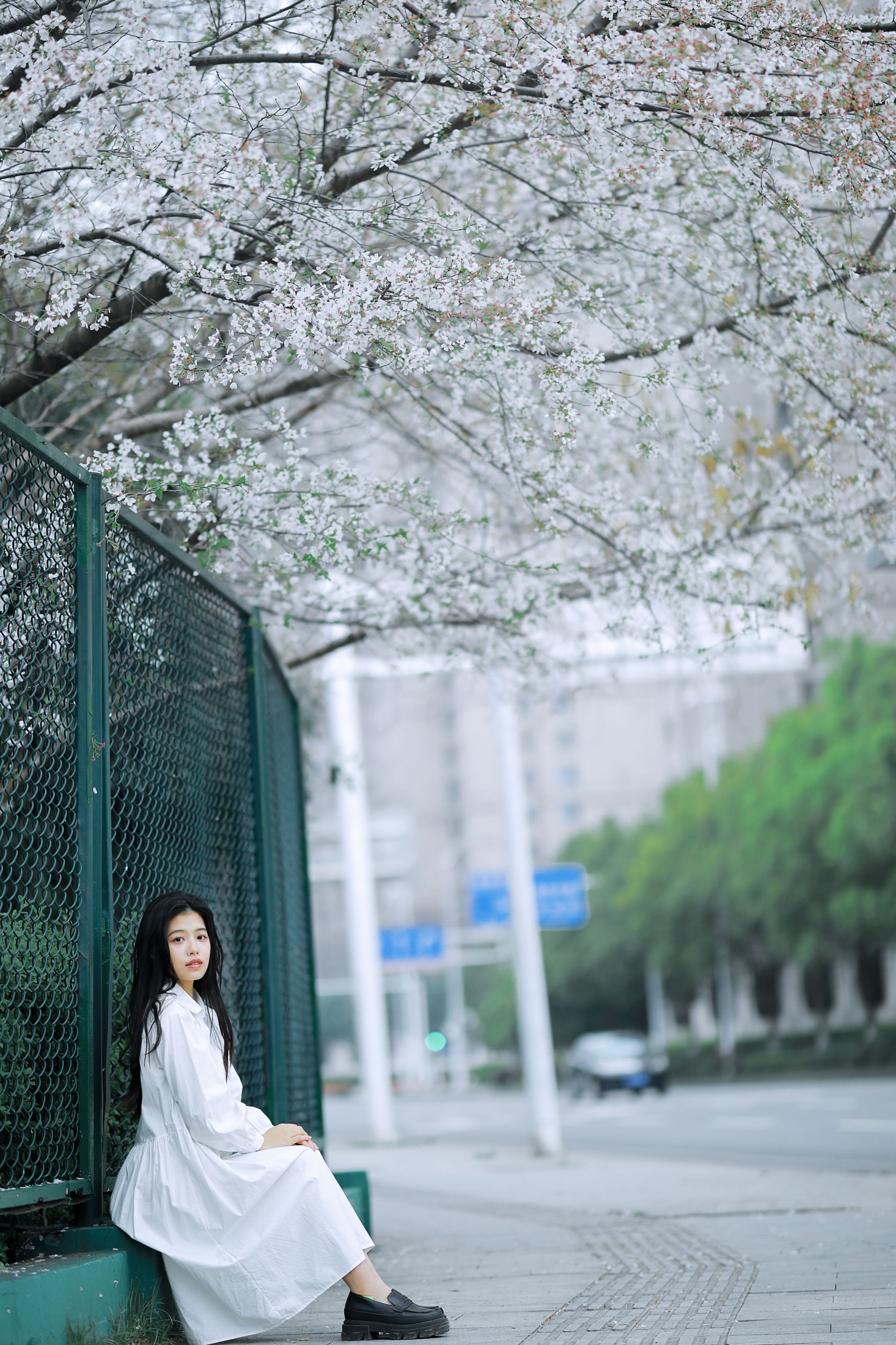 龙星儿 – 《樱花少女》[30P] 插图5