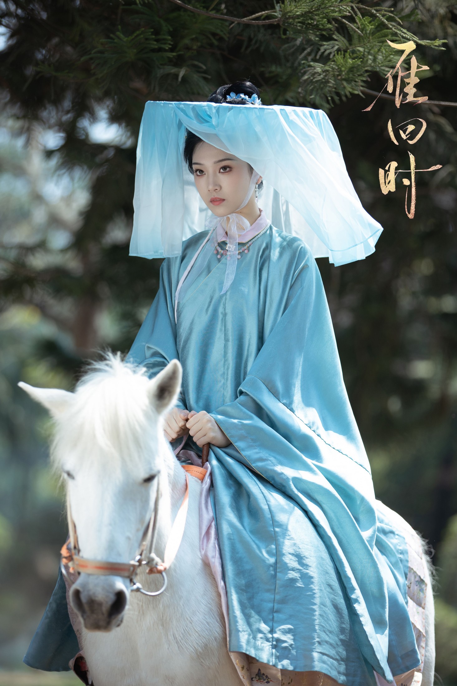 芝芝琪 – 《雁回时 庄寒雁仿妆》[30P]-66COS