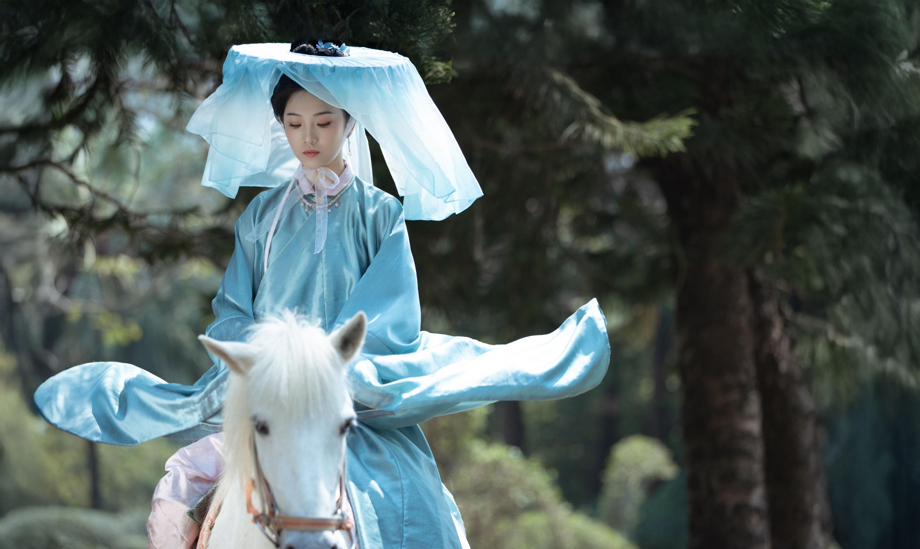 芝芝琪 – 《雁回时 庄寒雁仿妆》[30P] 插图2