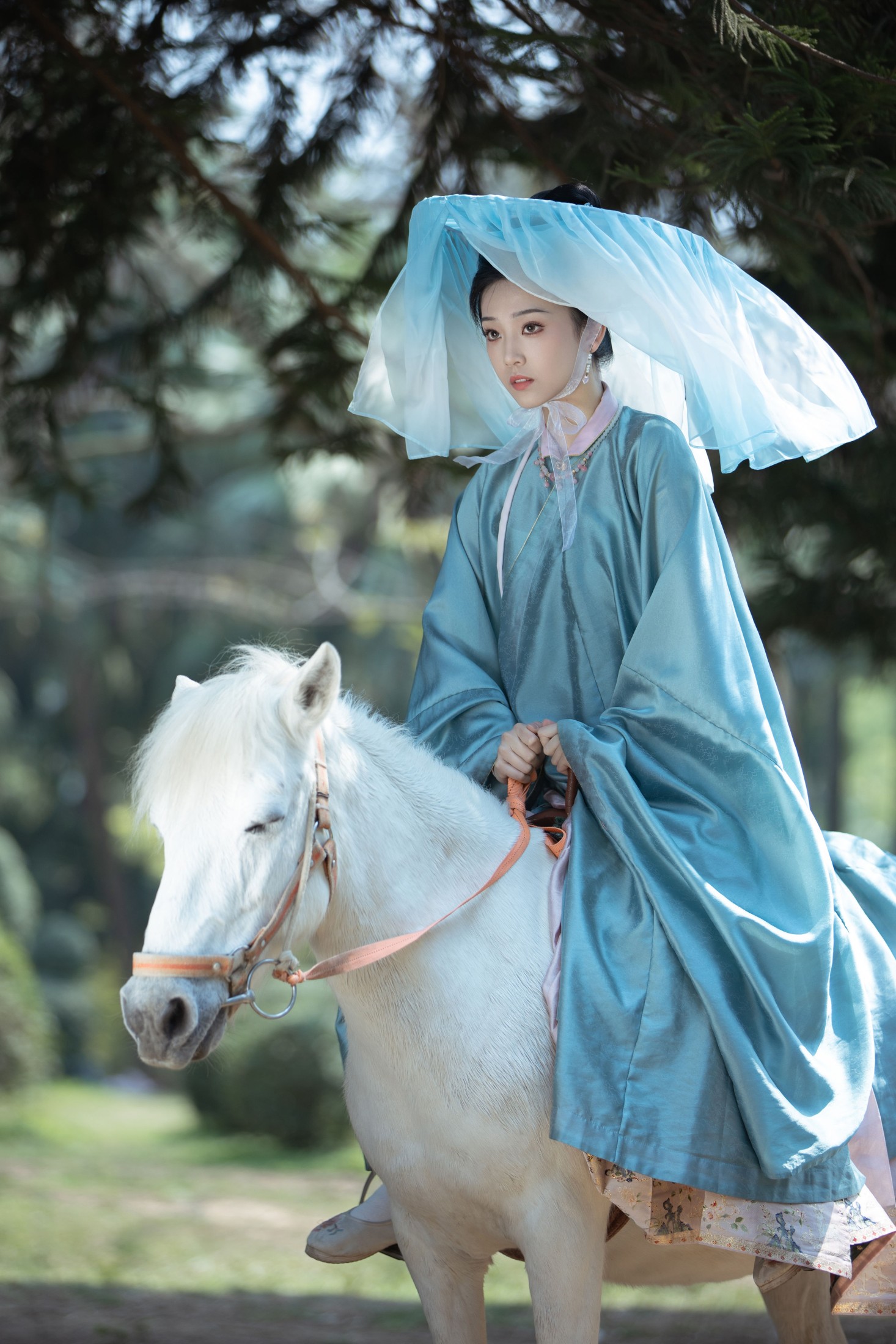 芝芝琪 – 《雁回时 庄寒雁仿妆》[30P] 插图3