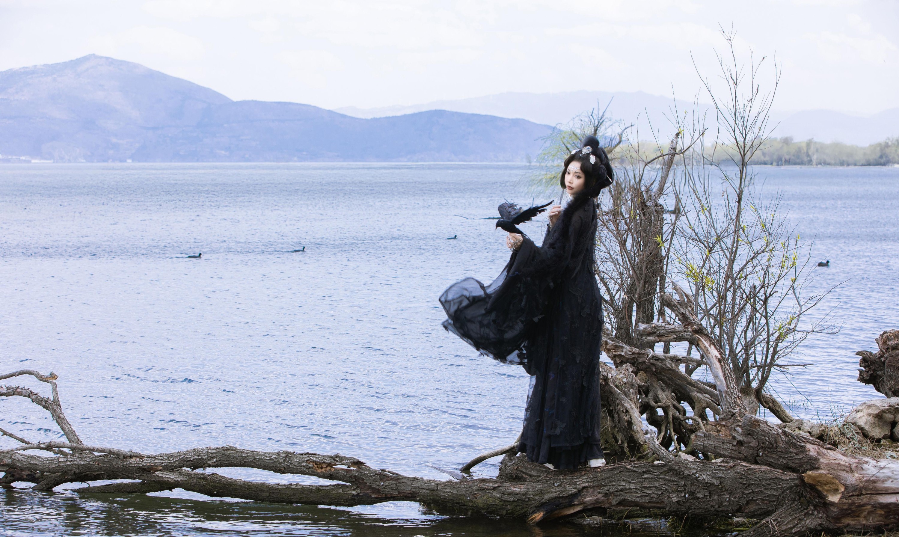 薛薛 – 《乌鸦拟人》[35P] 插图2