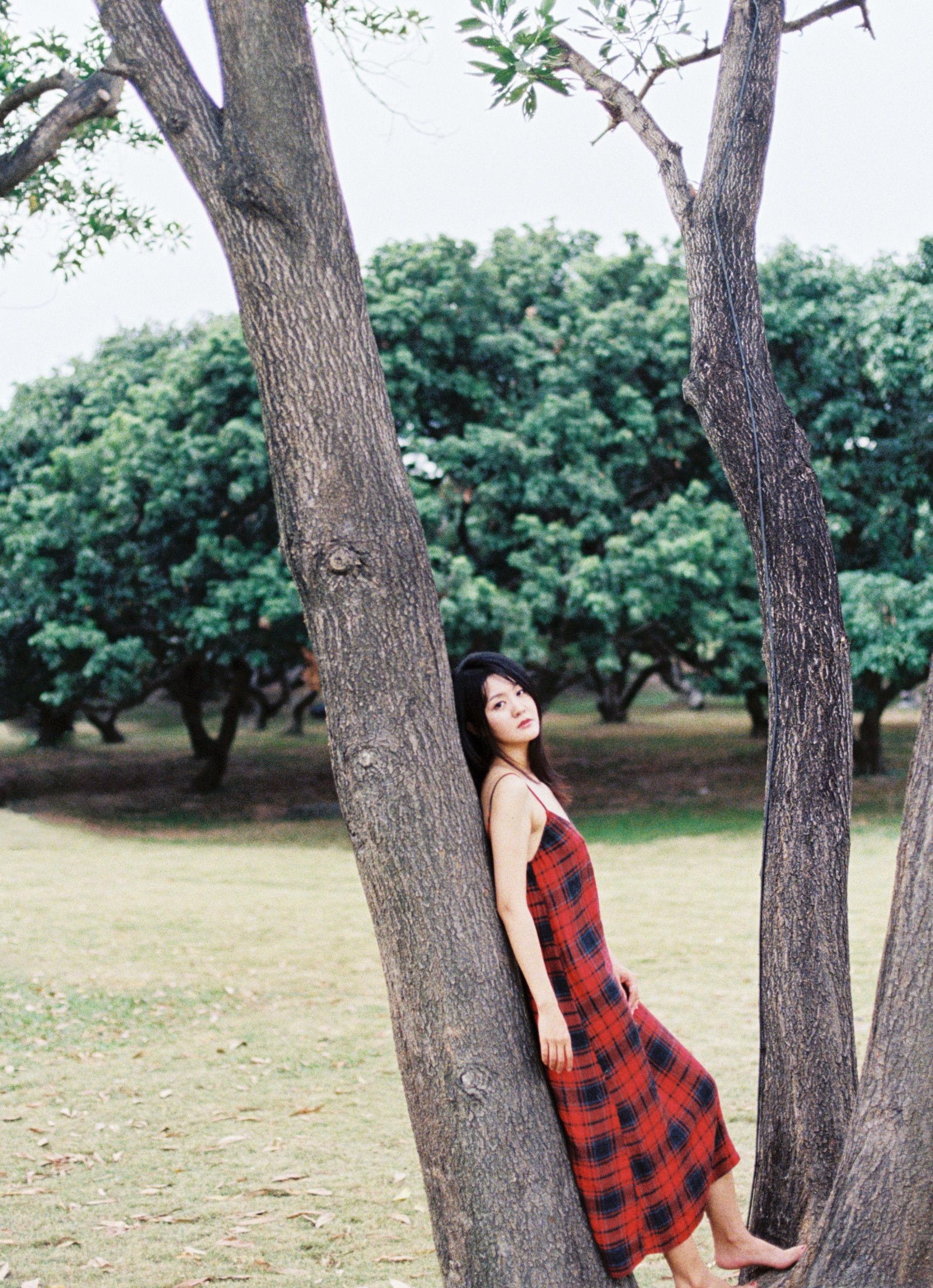 雪莉 – 《11月结束之前》[25P] 插图2