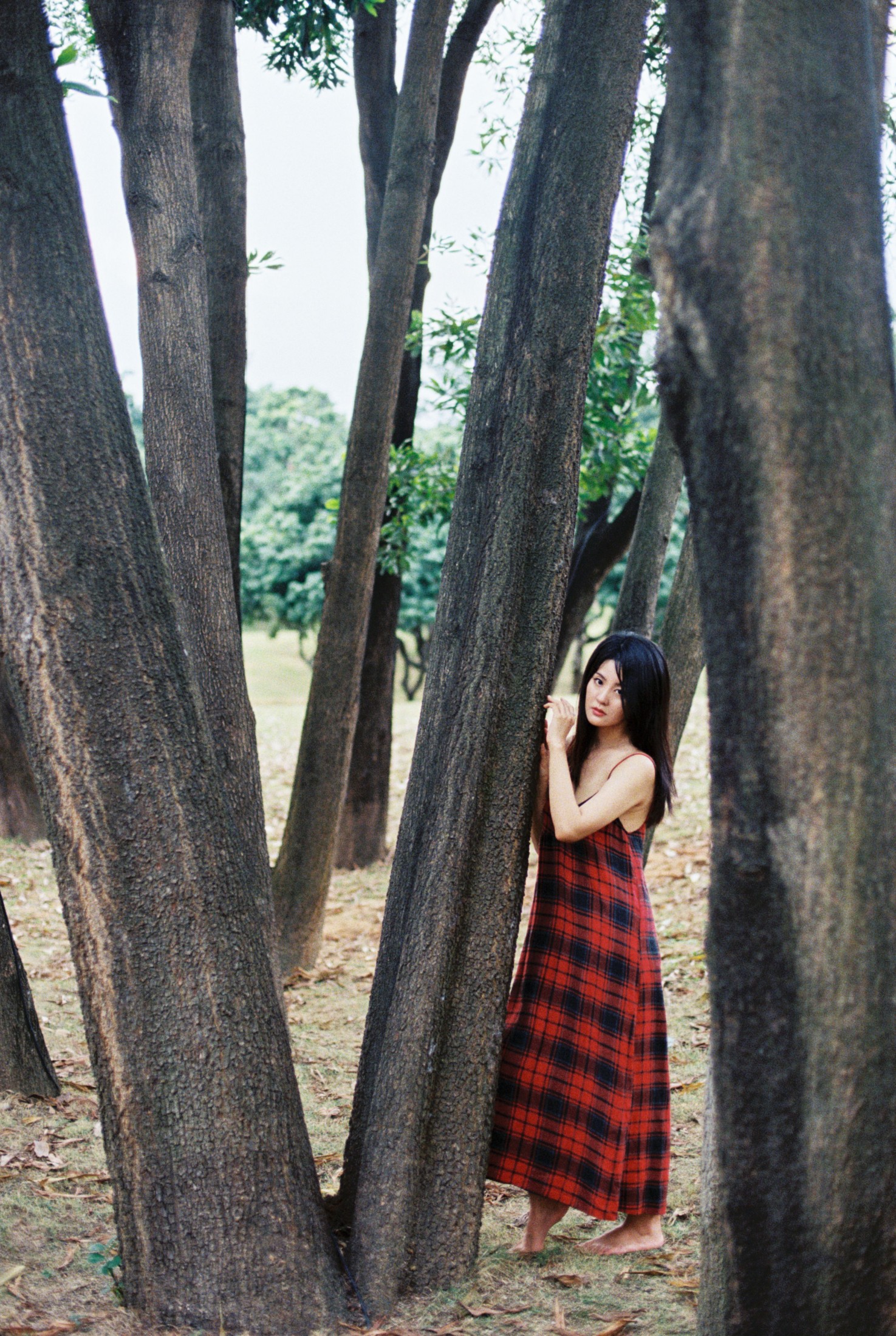 雪莉 – 《11月结束之前》[25P] 插图3