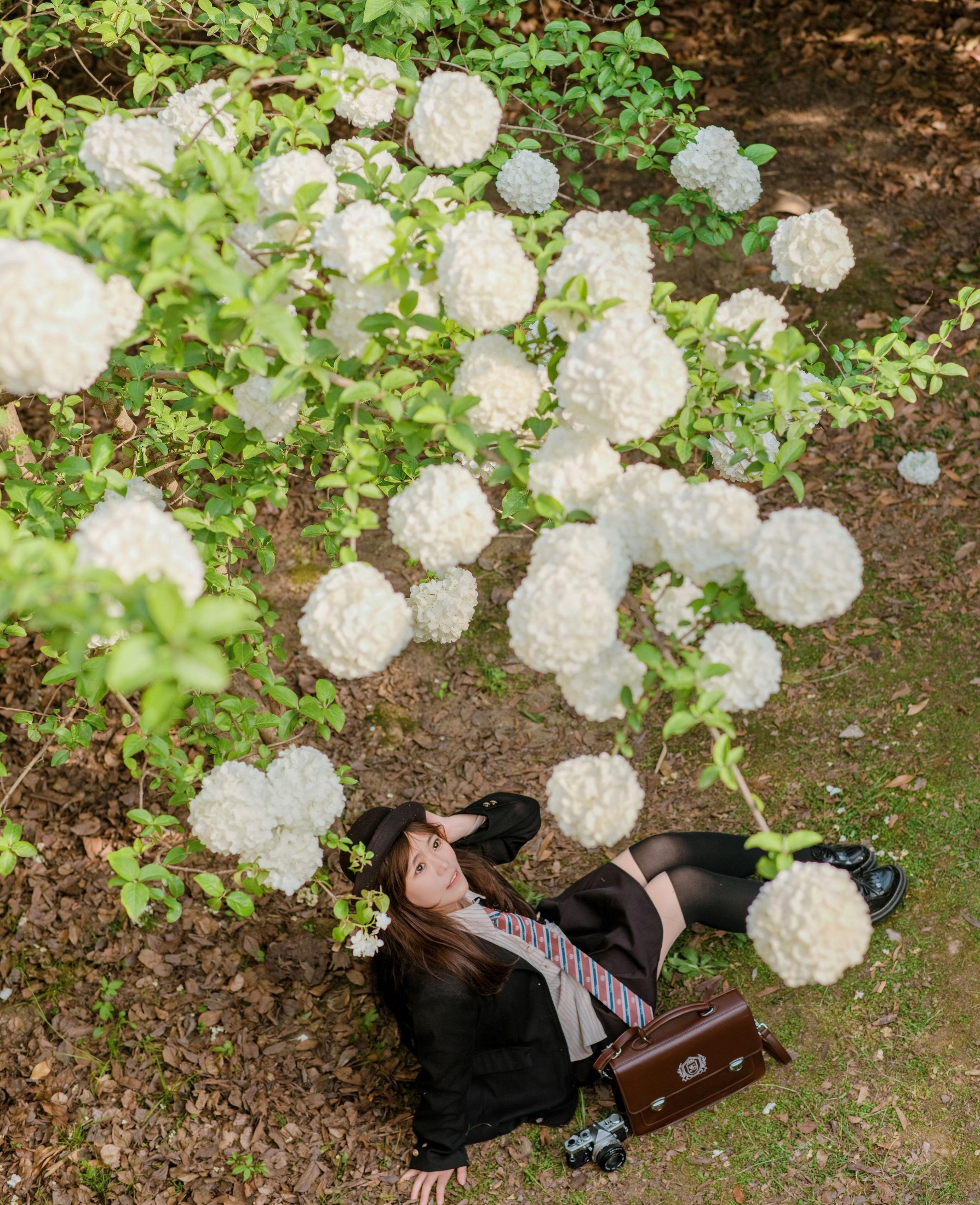 元元 – 《静待花开》[23P] 插图2