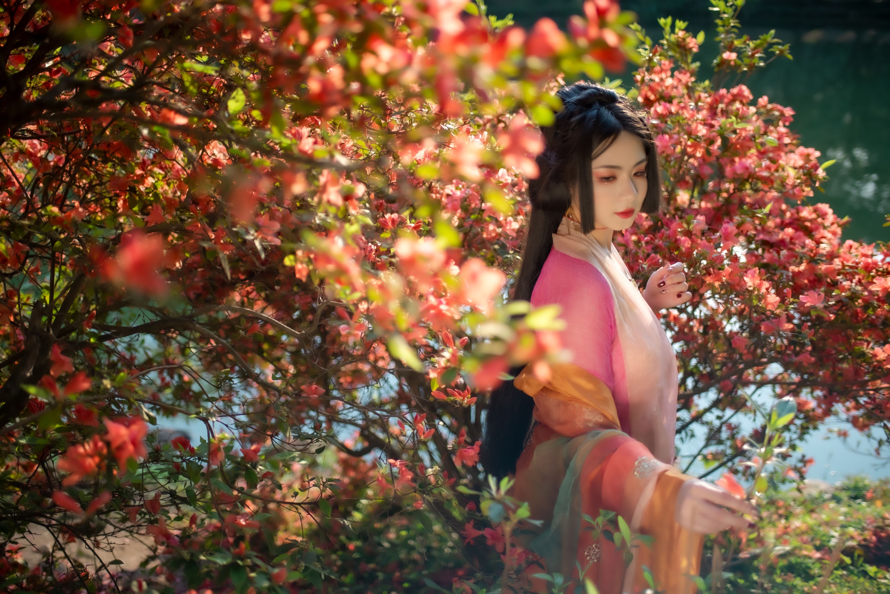 零基础的米团 – 《锦瑟》[24P]-66COS