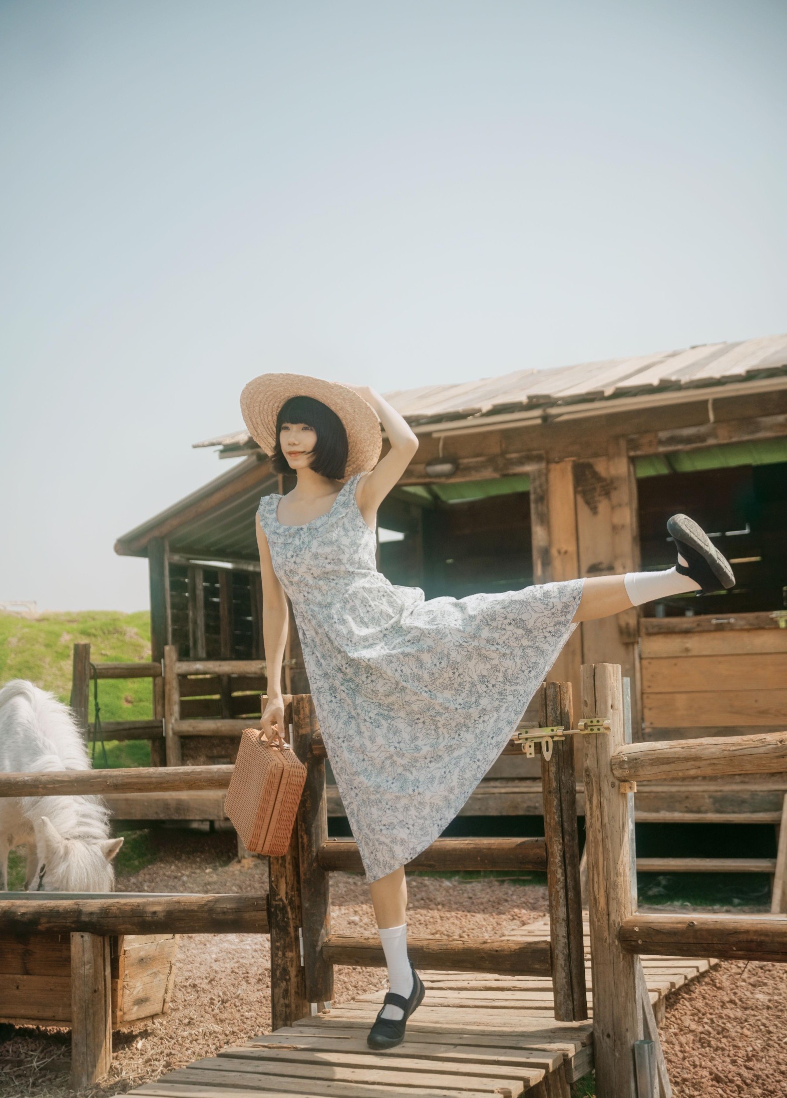 特特 – 《马房童话》[50P] 插图2