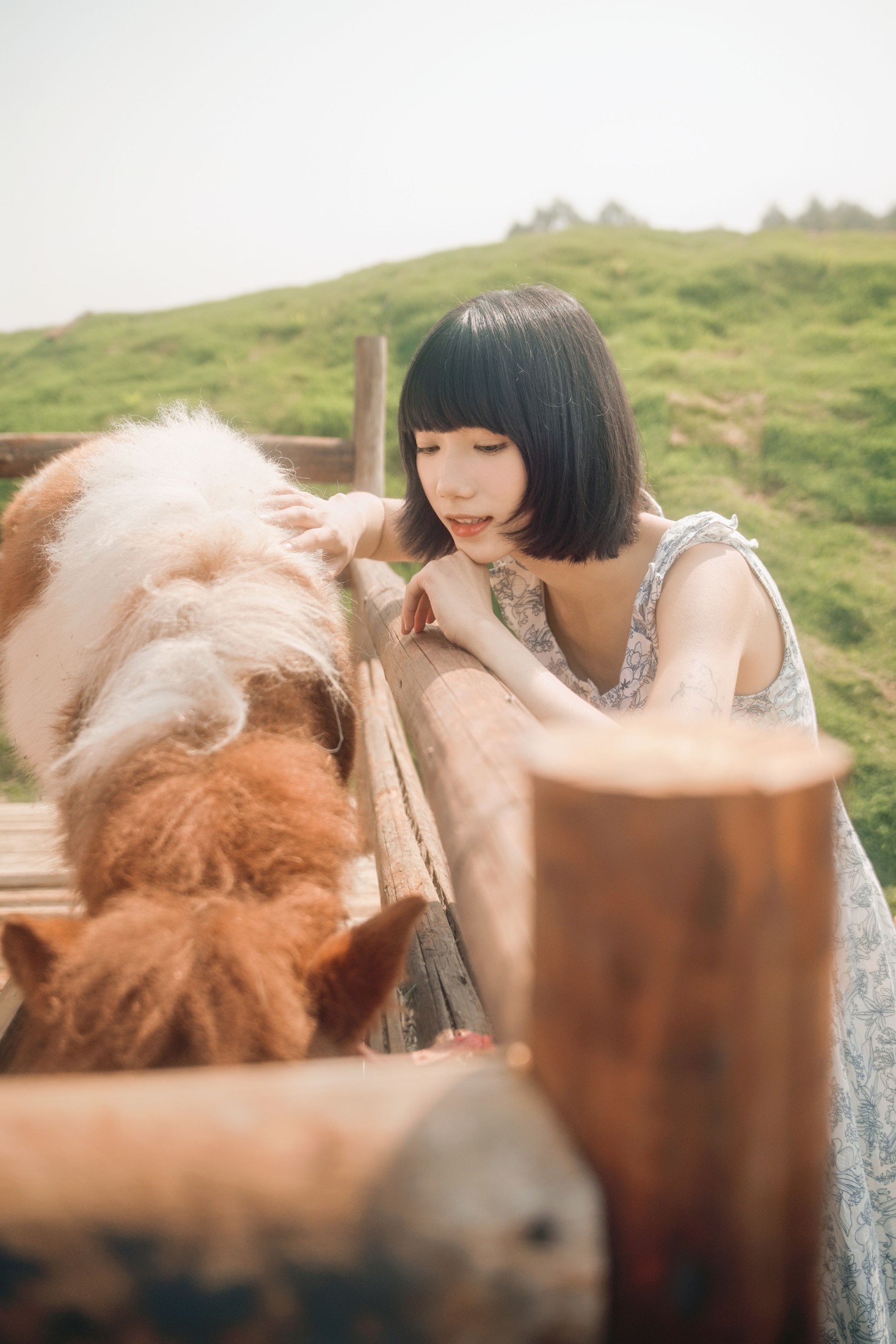 特特 – 《马房童话》[50P] 插图5