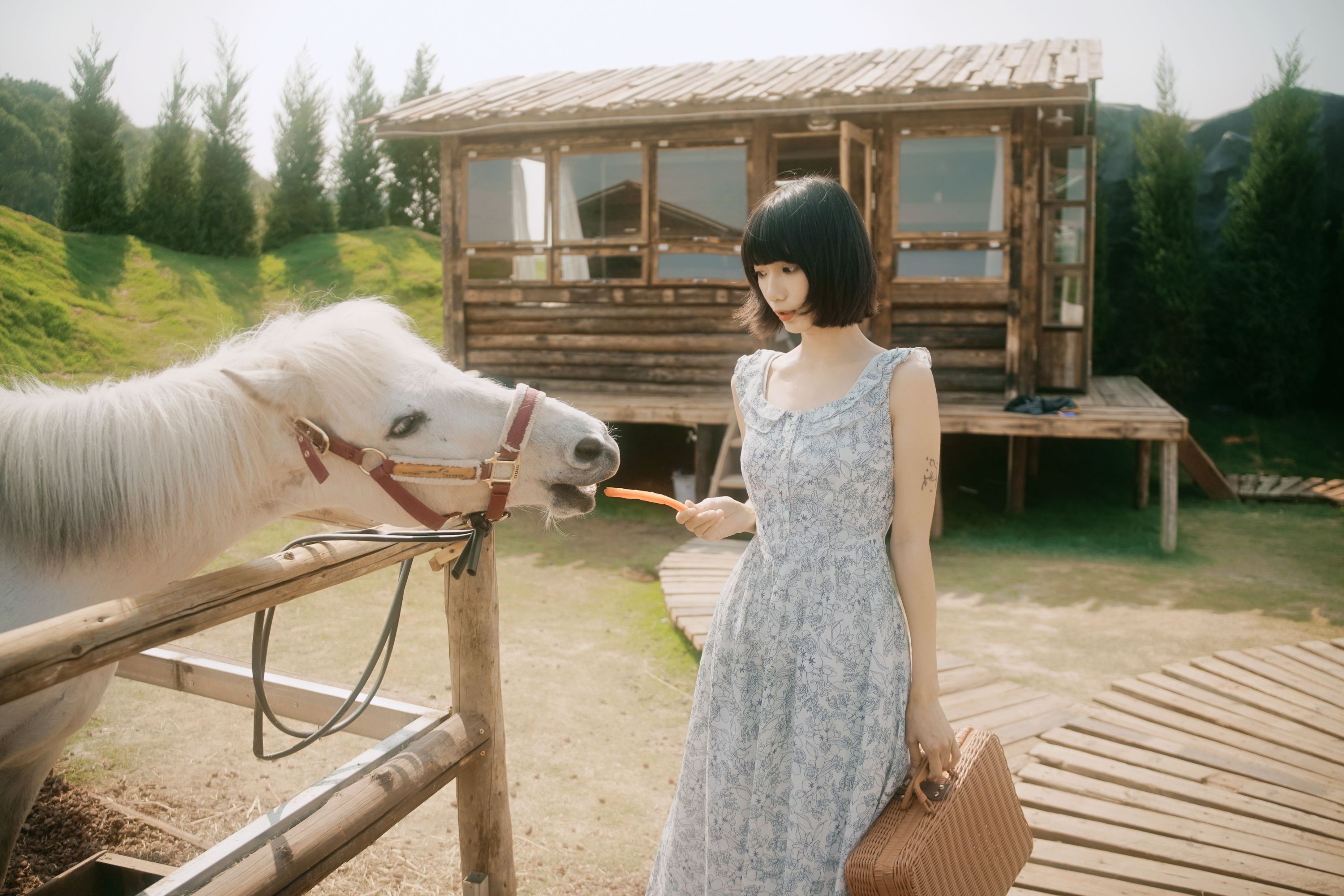 特特 – 《马房童话》[50P] 插图3