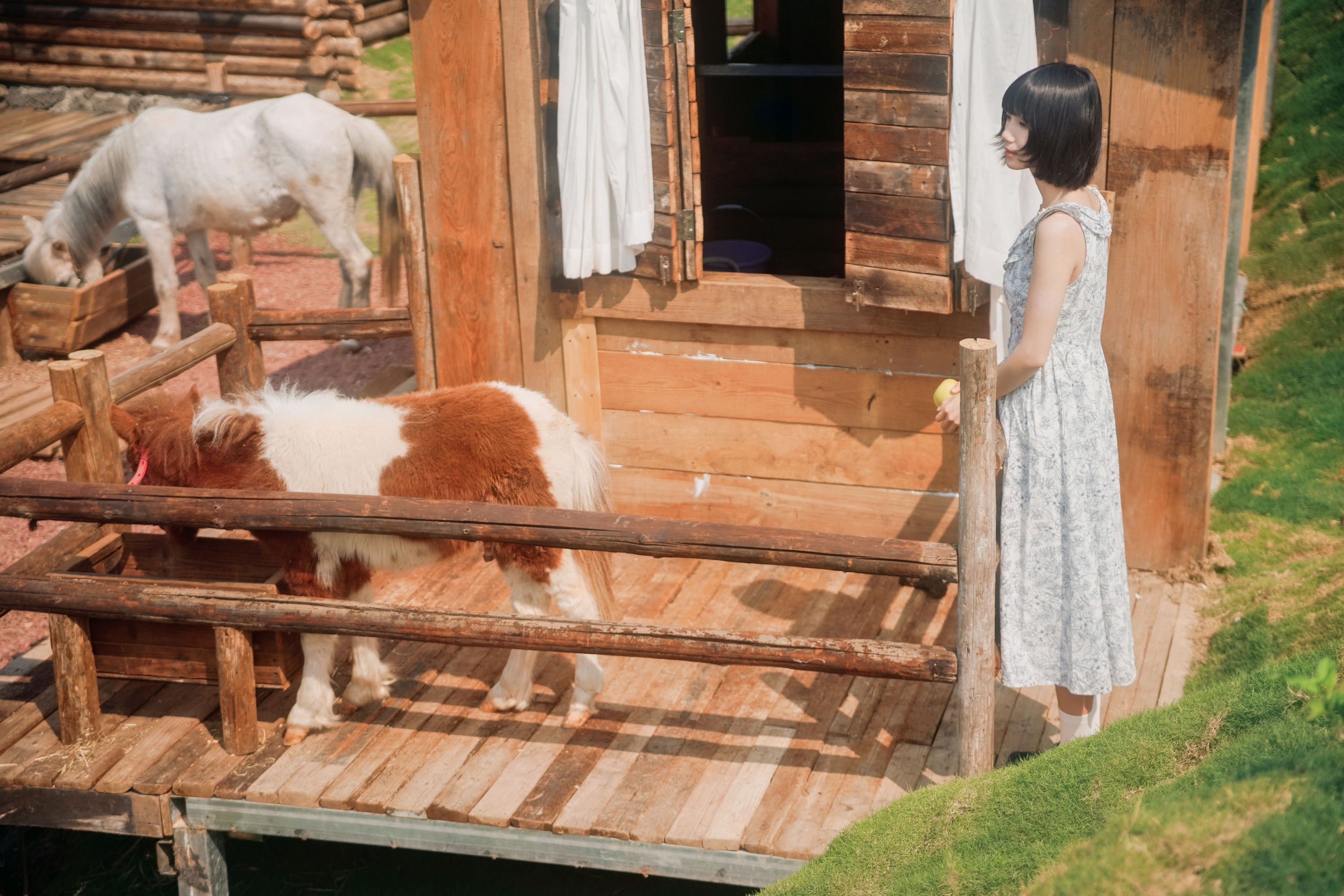 特特 – 《马房童话》[50P] 插图4