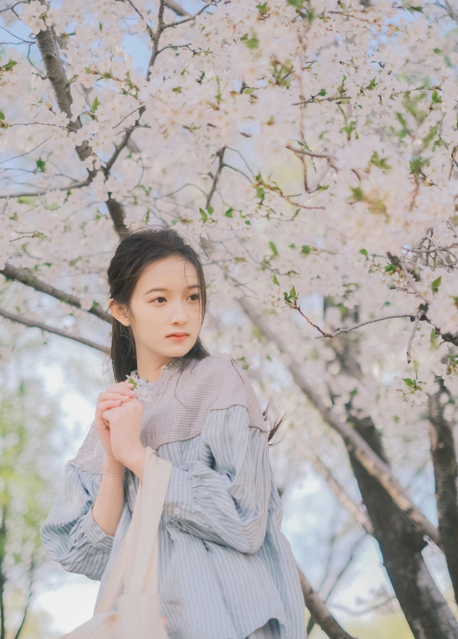 彤 – 《春日信》[30P] 插图2