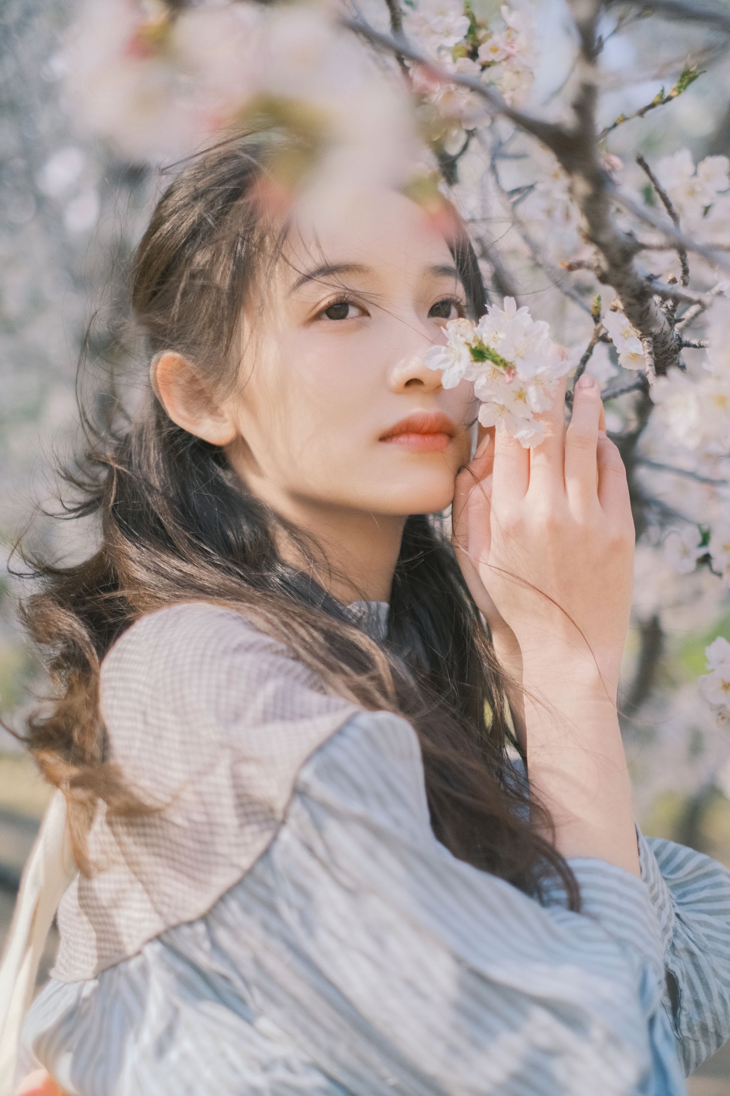 彤 – 《春日信》[30P] 插图3