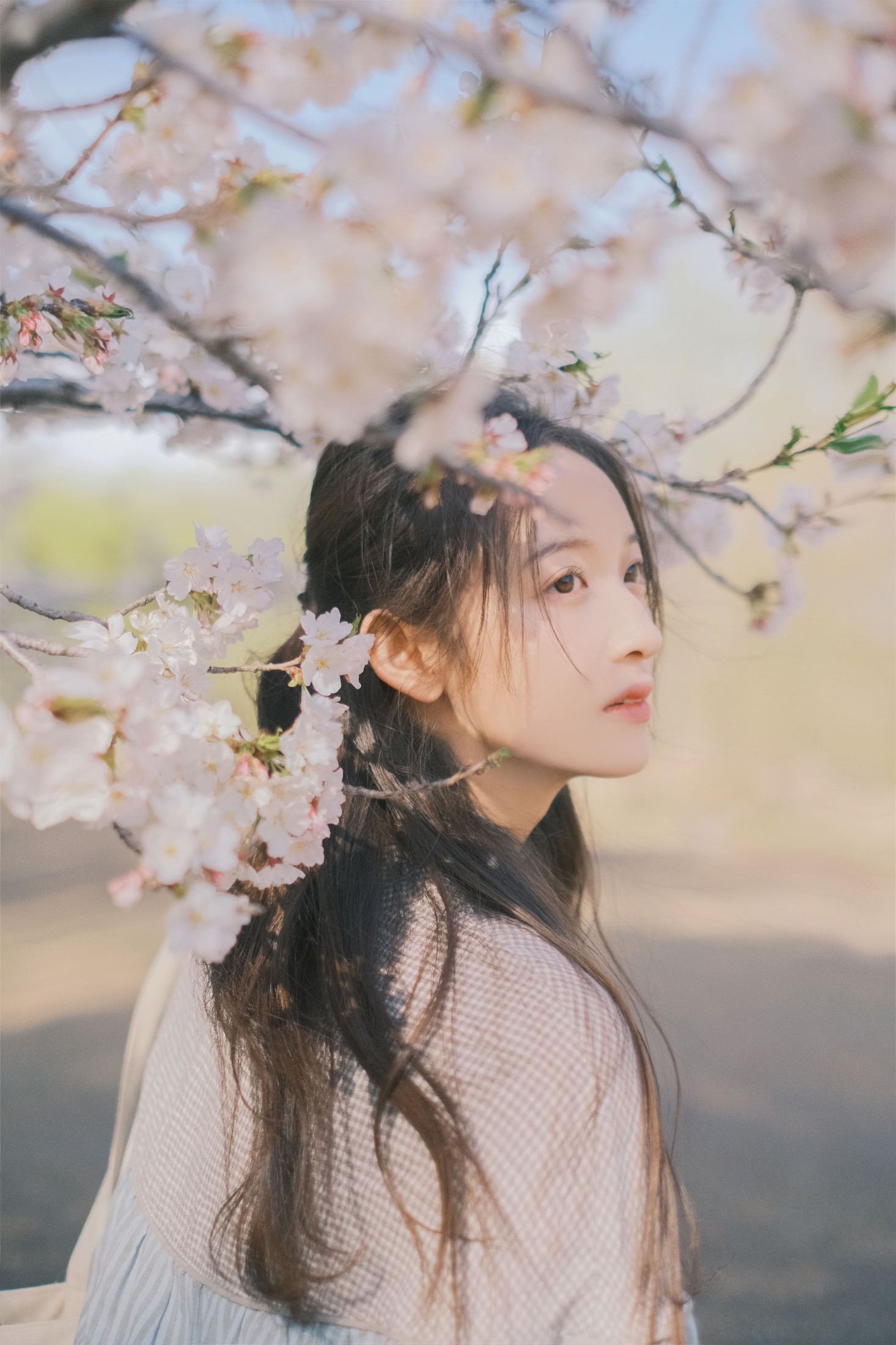 彤 – 《春日信》[30P] 插图4