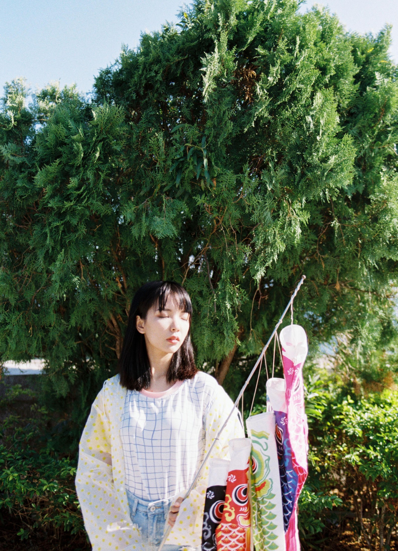 妍子坚不可摧 – 《青空之鲤》[13P] 插图2