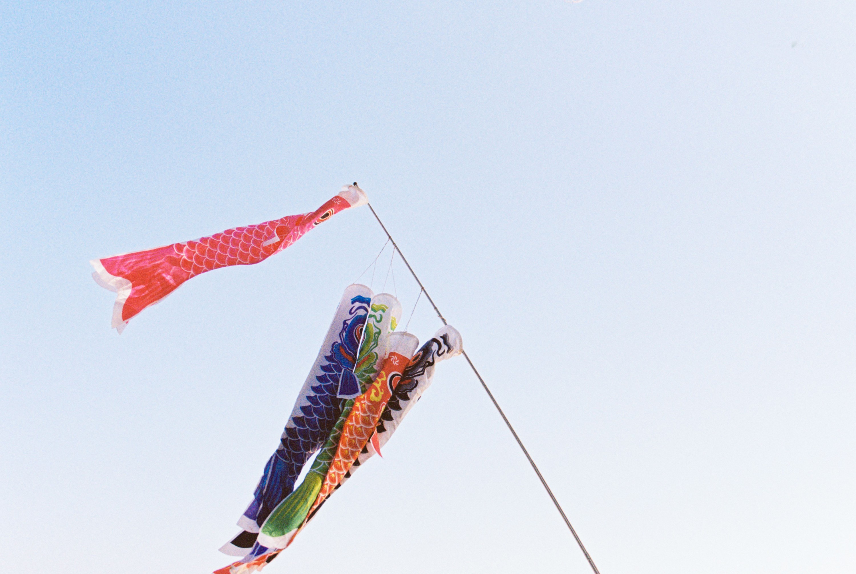 妍子坚不可摧 – 《青空之鲤》[13P] 插图5