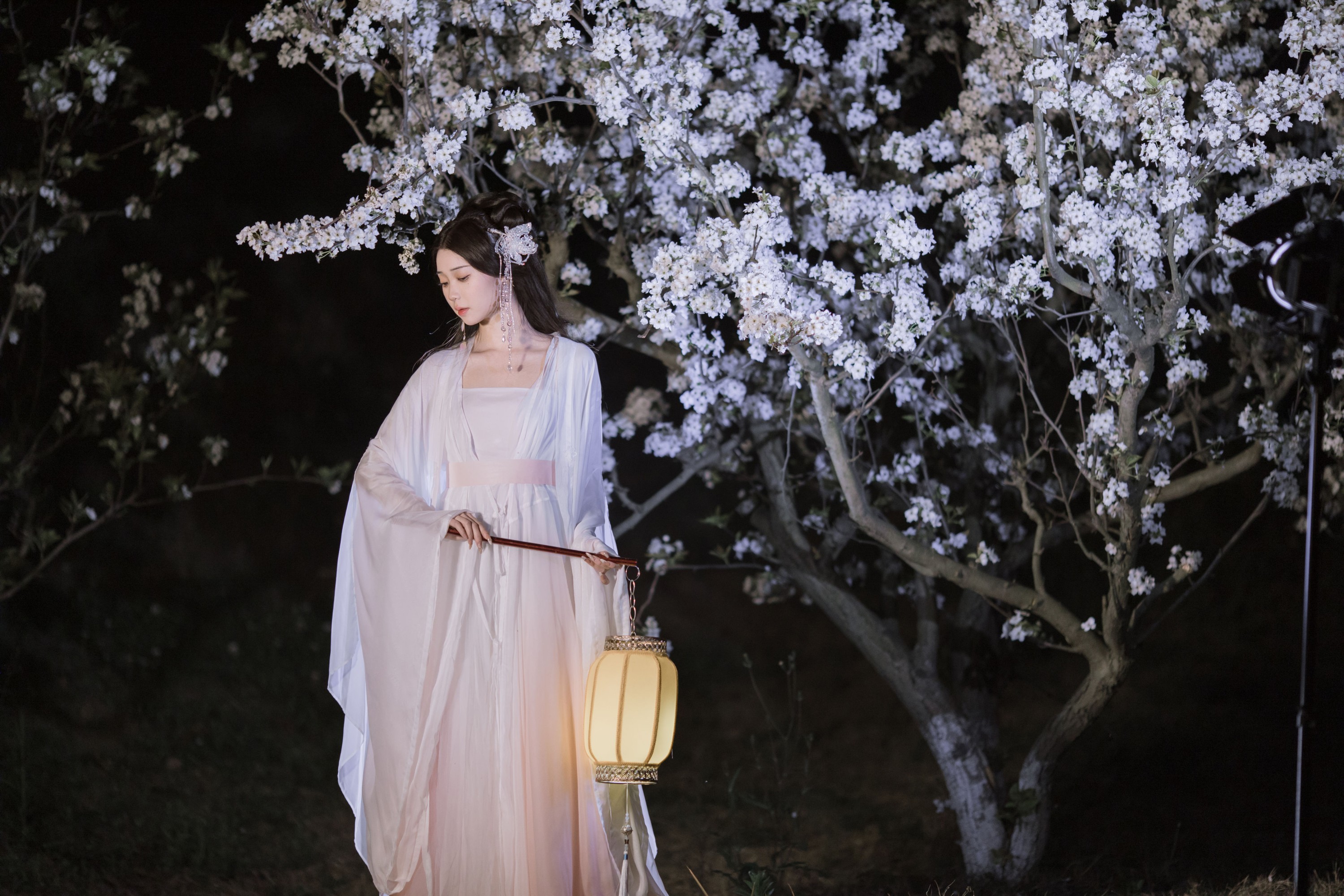 褚鸢鸢 – 《叶冰裳仿妆》[18P] 插图5