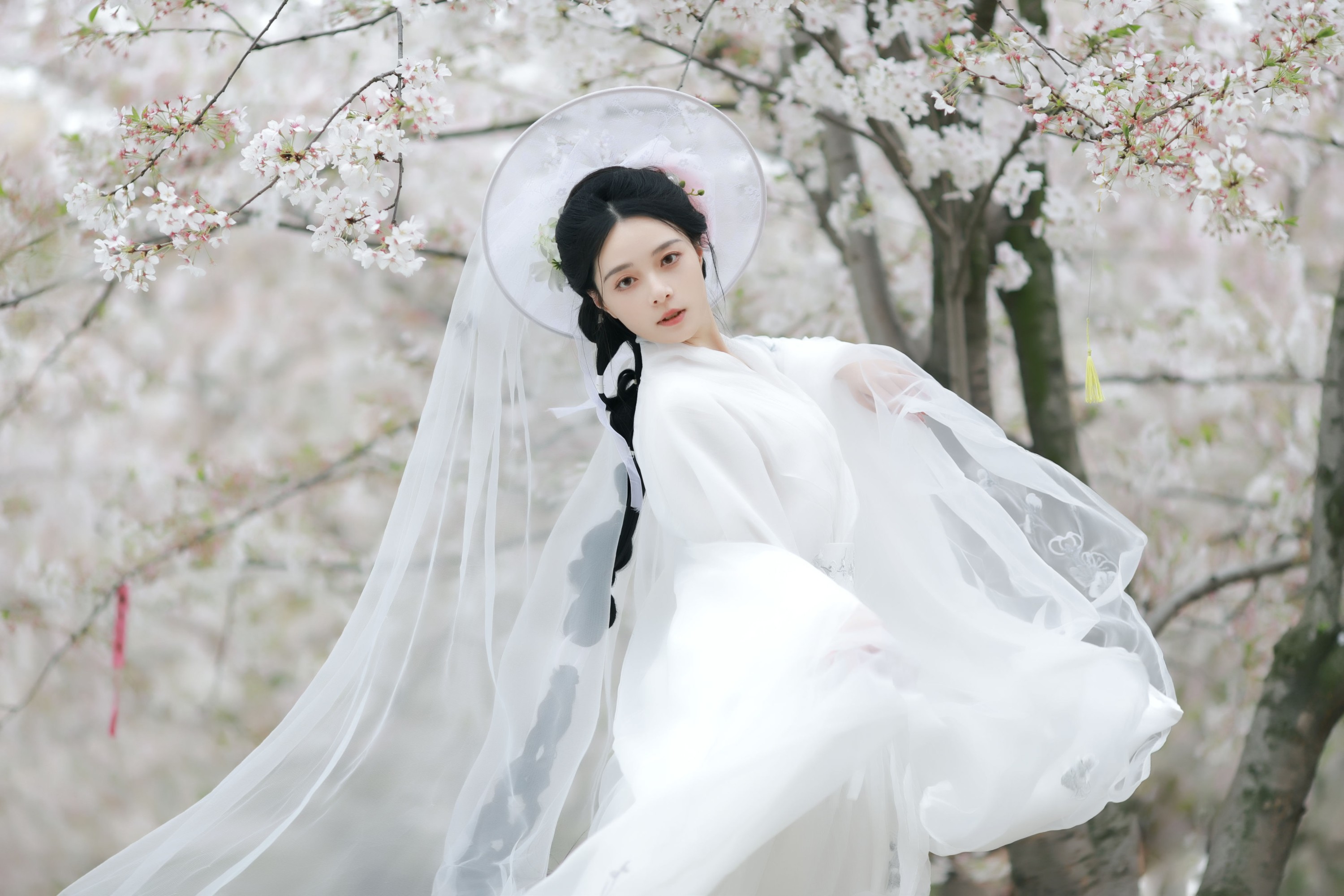 岁岁如意 – 《万物清明》[14P] 插图5