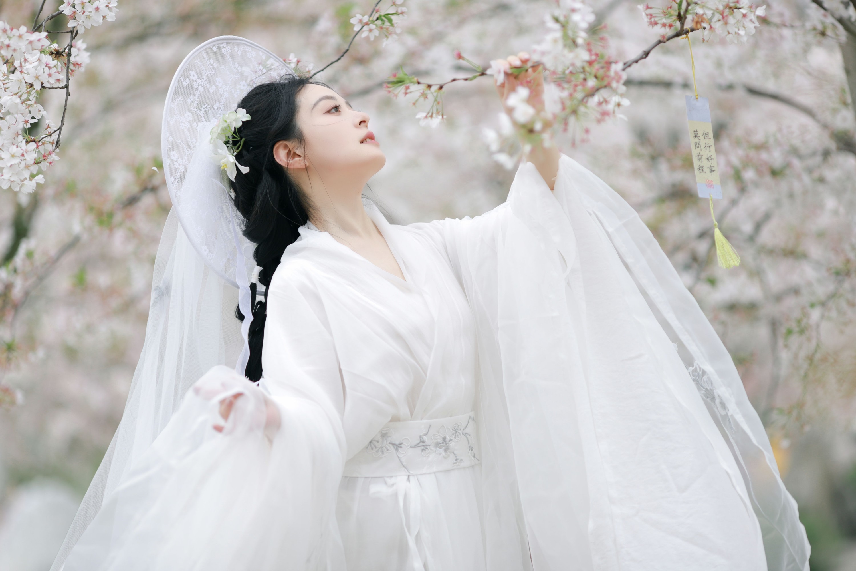 岁岁如意 – 《万物清明》[14P] 插图3