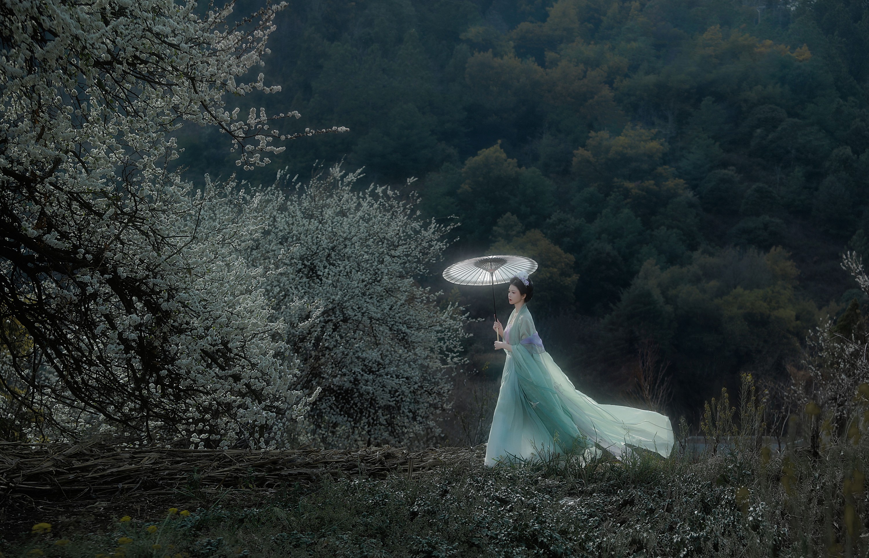 吾岁岁 – 《春山如黛草如烟》[22P] 插图4