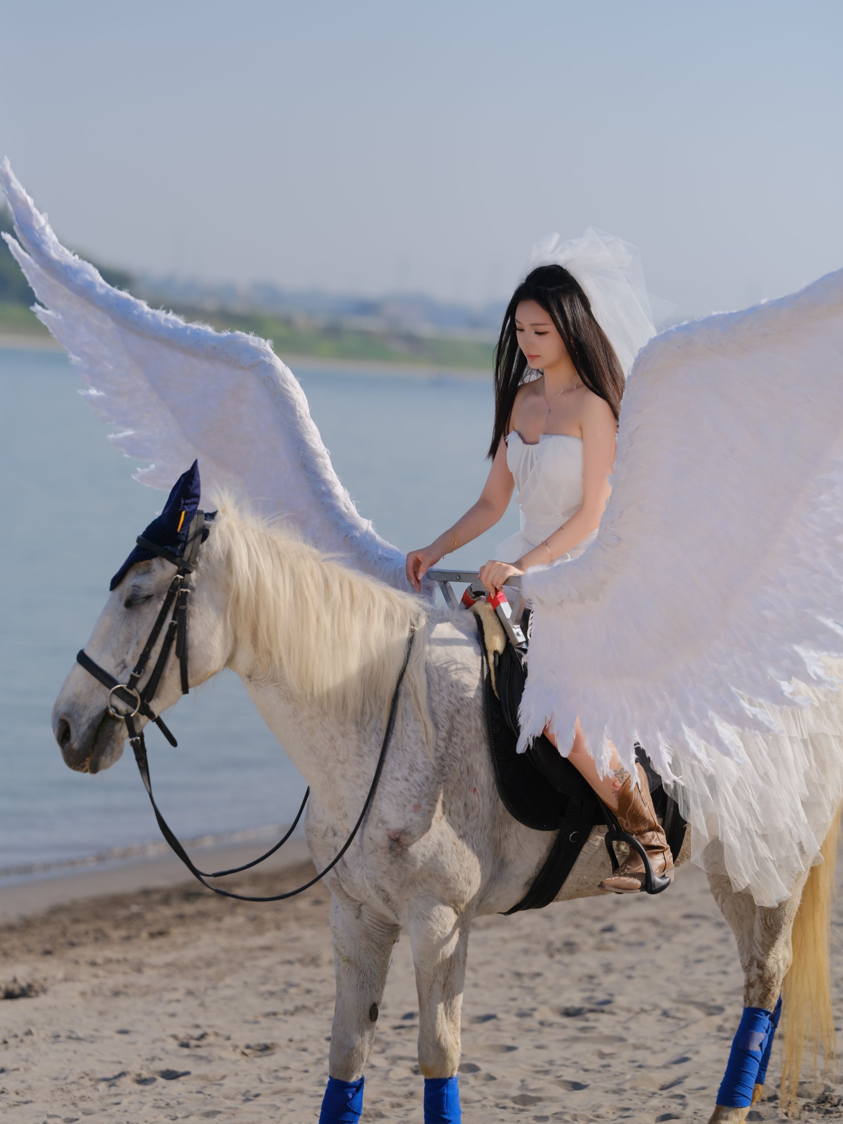 z – 《飞马公主》[16P] 插图3