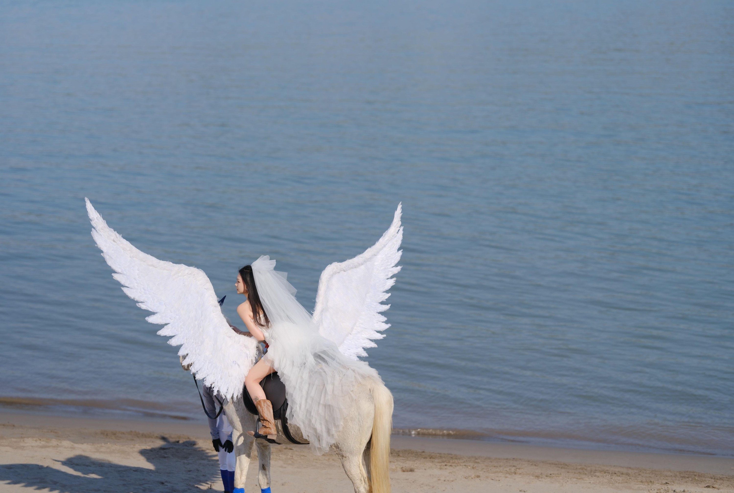 z – 《飞马公主》[16P] 插图2