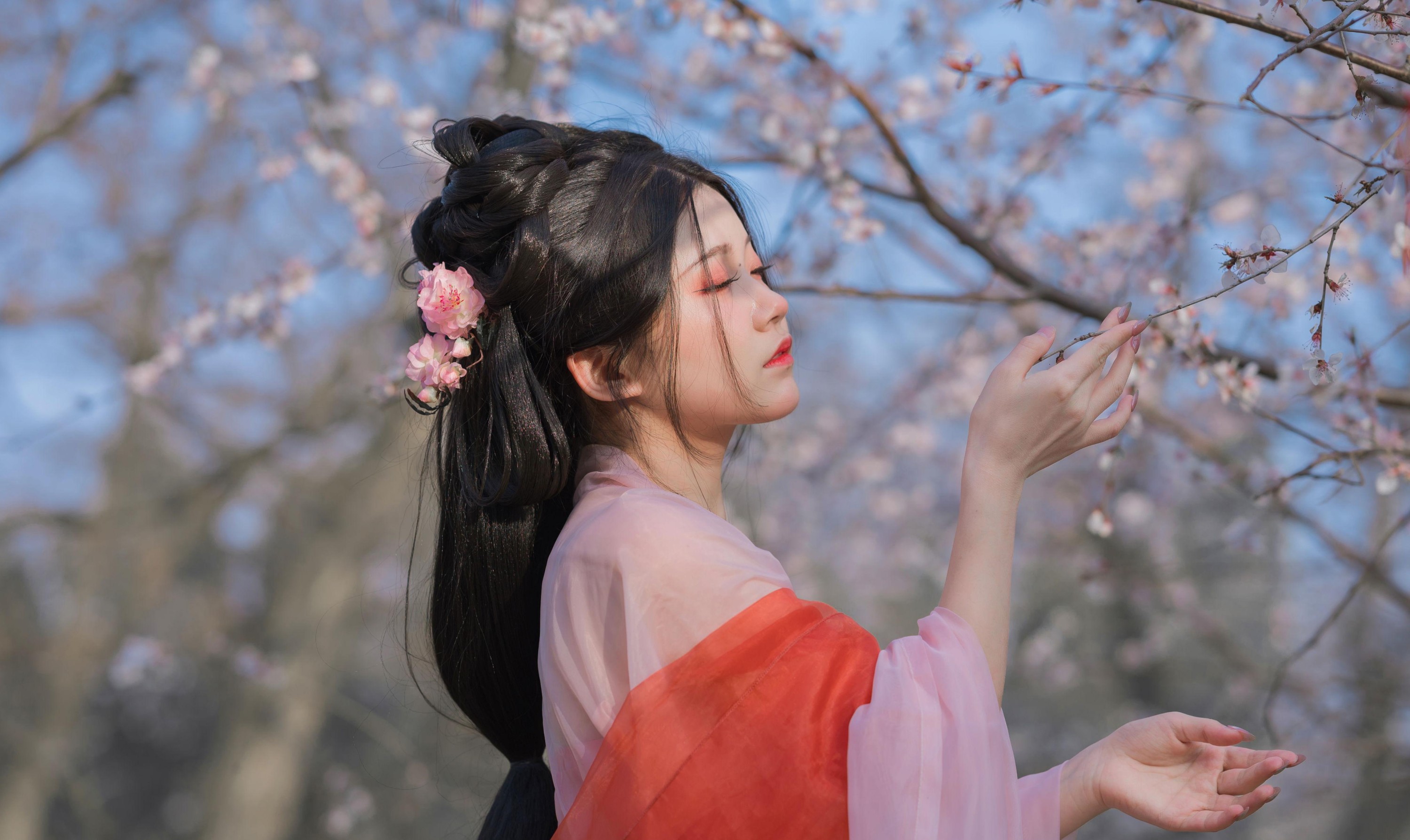  桂圆八宝粥 – 《桃花夭夭》[15P] 插图2