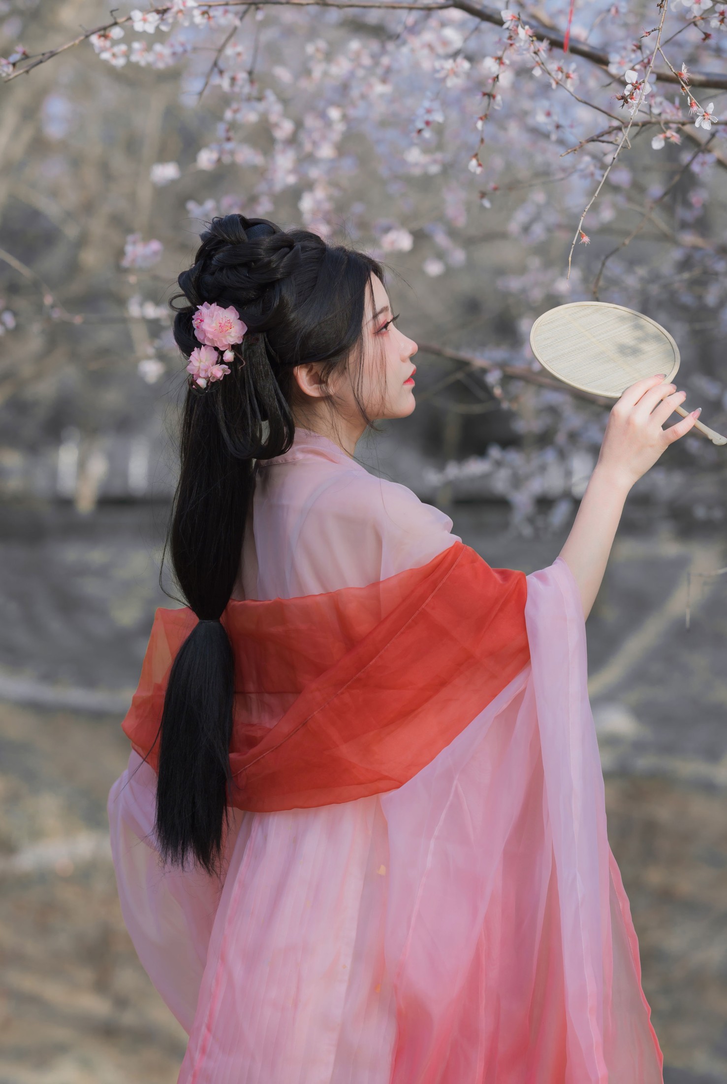  桂圆八宝粥 – 《桃花夭夭》[15P] 插图5