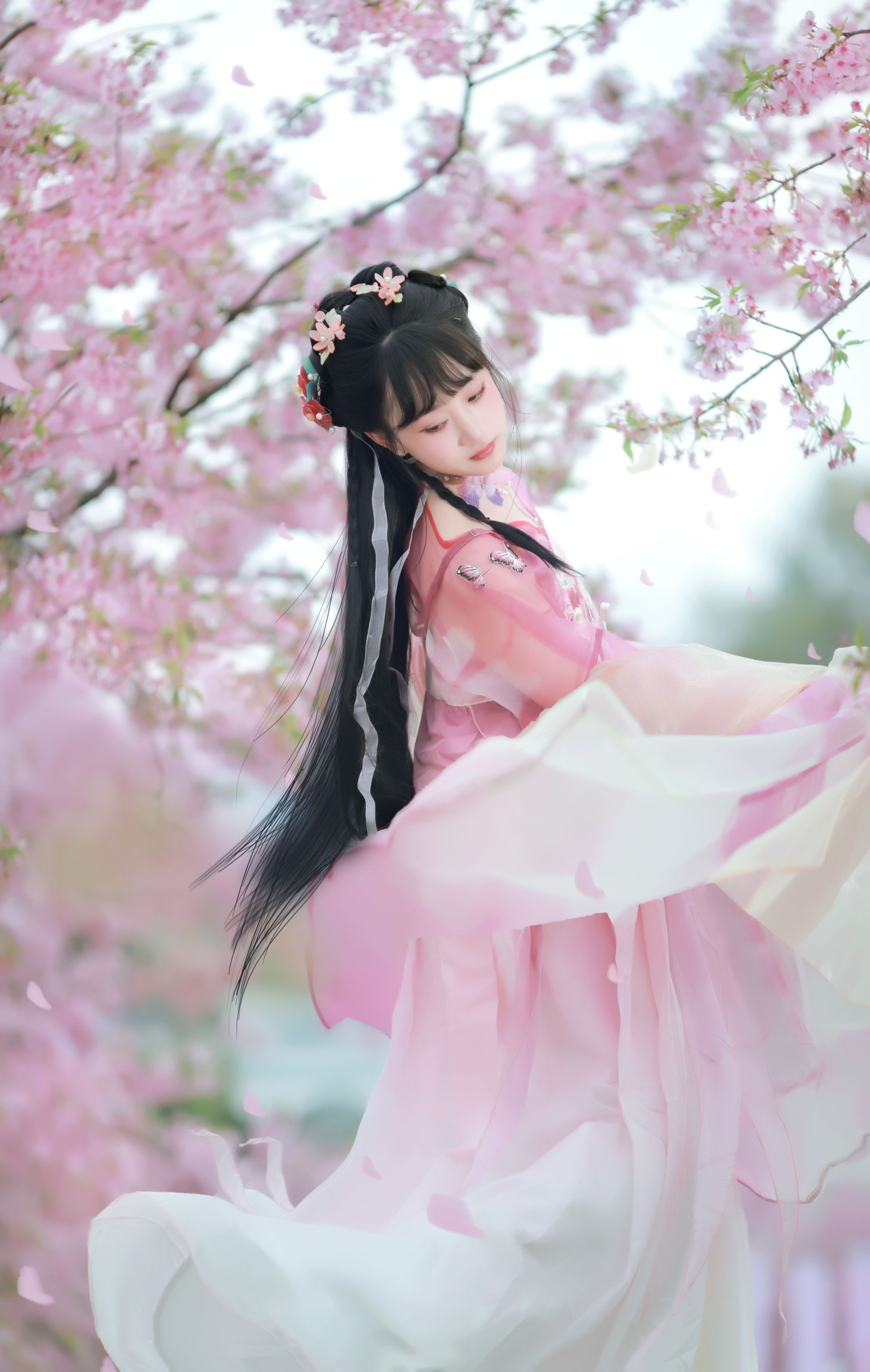 小王碎彬彬 – 《落樱》[13P] 插图4