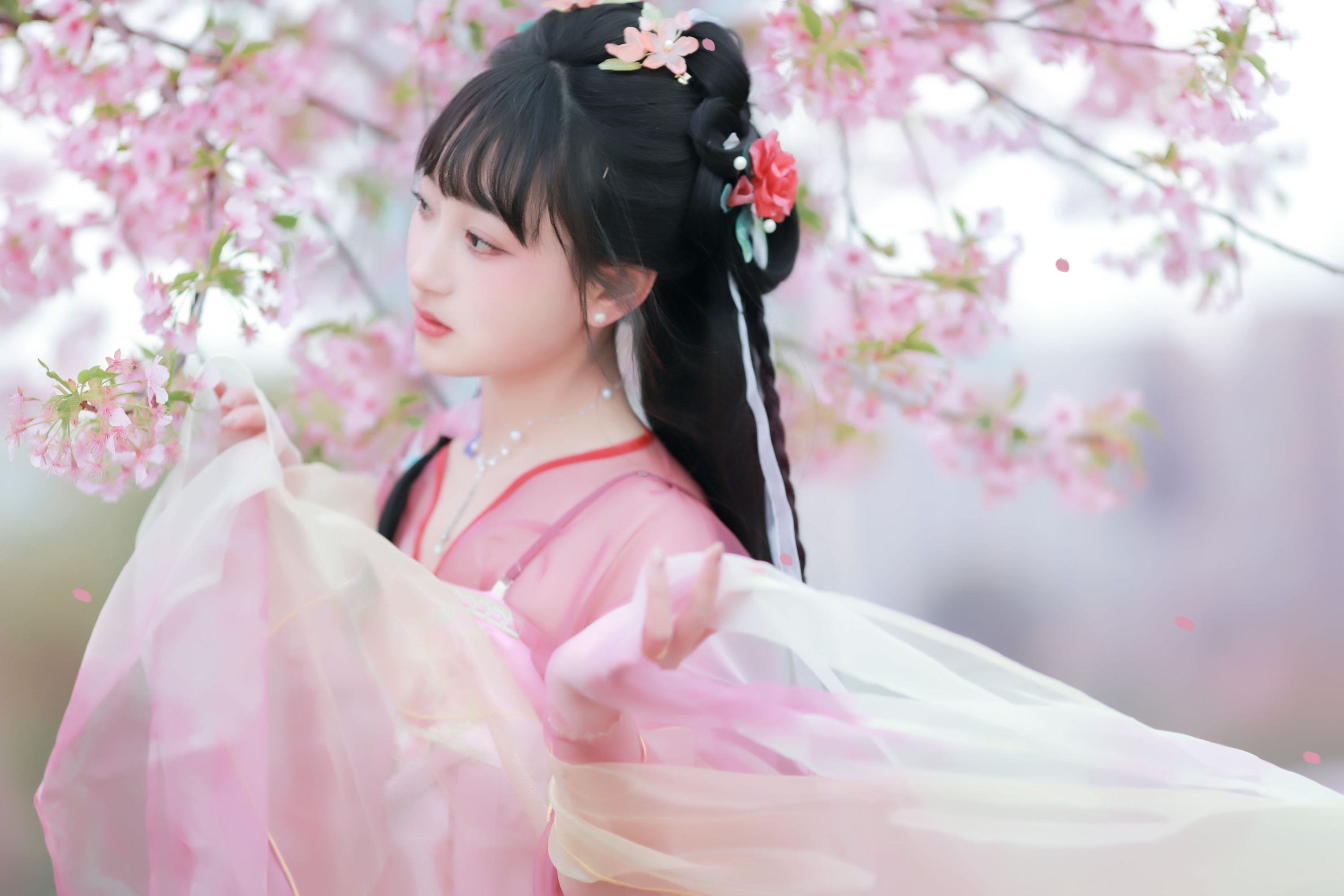 小王碎彬彬 – 《落樱》[13P] 插图5