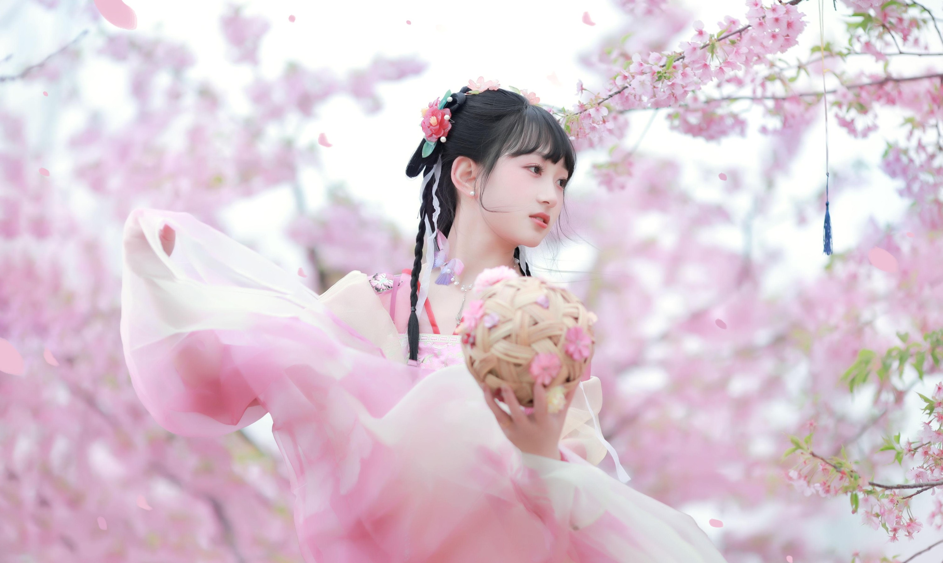 小王碎彬彬 – 《落樱》[13P] 插图2