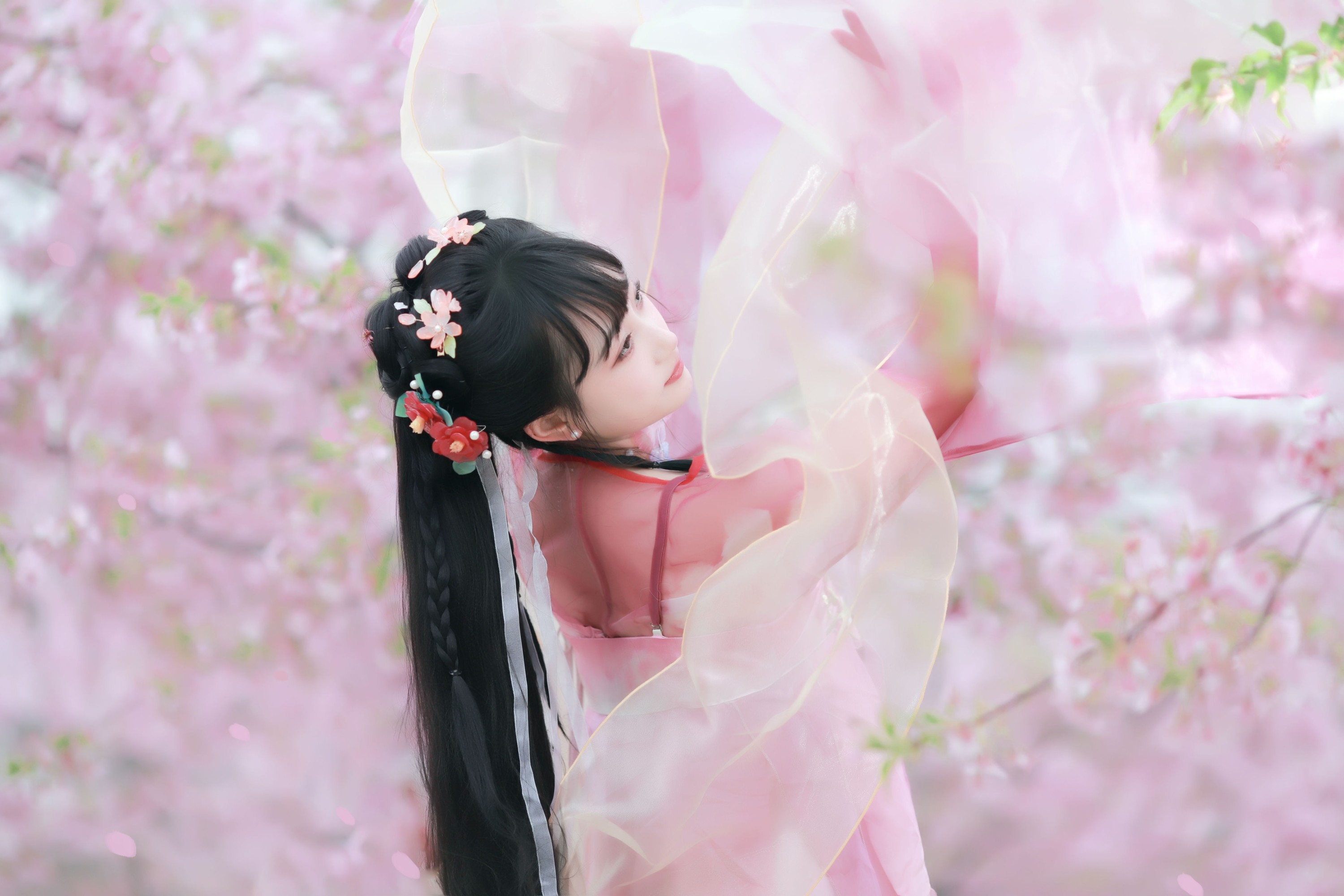 小王碎彬彬 – 《落樱》[13P] 插图3