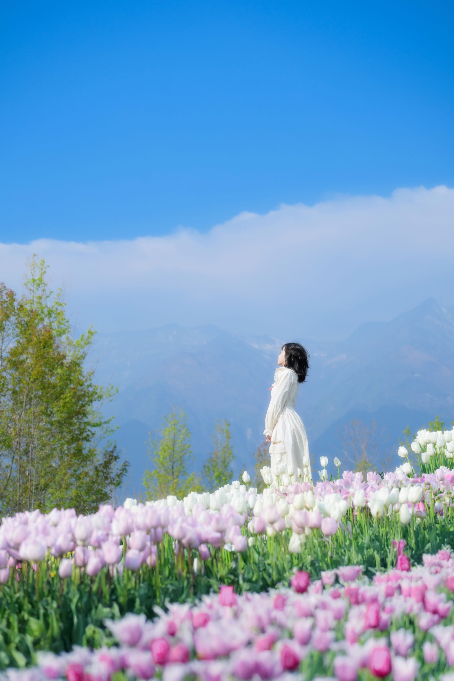 Disexi思宁 – 《鲜花人间》[20P] 插图3