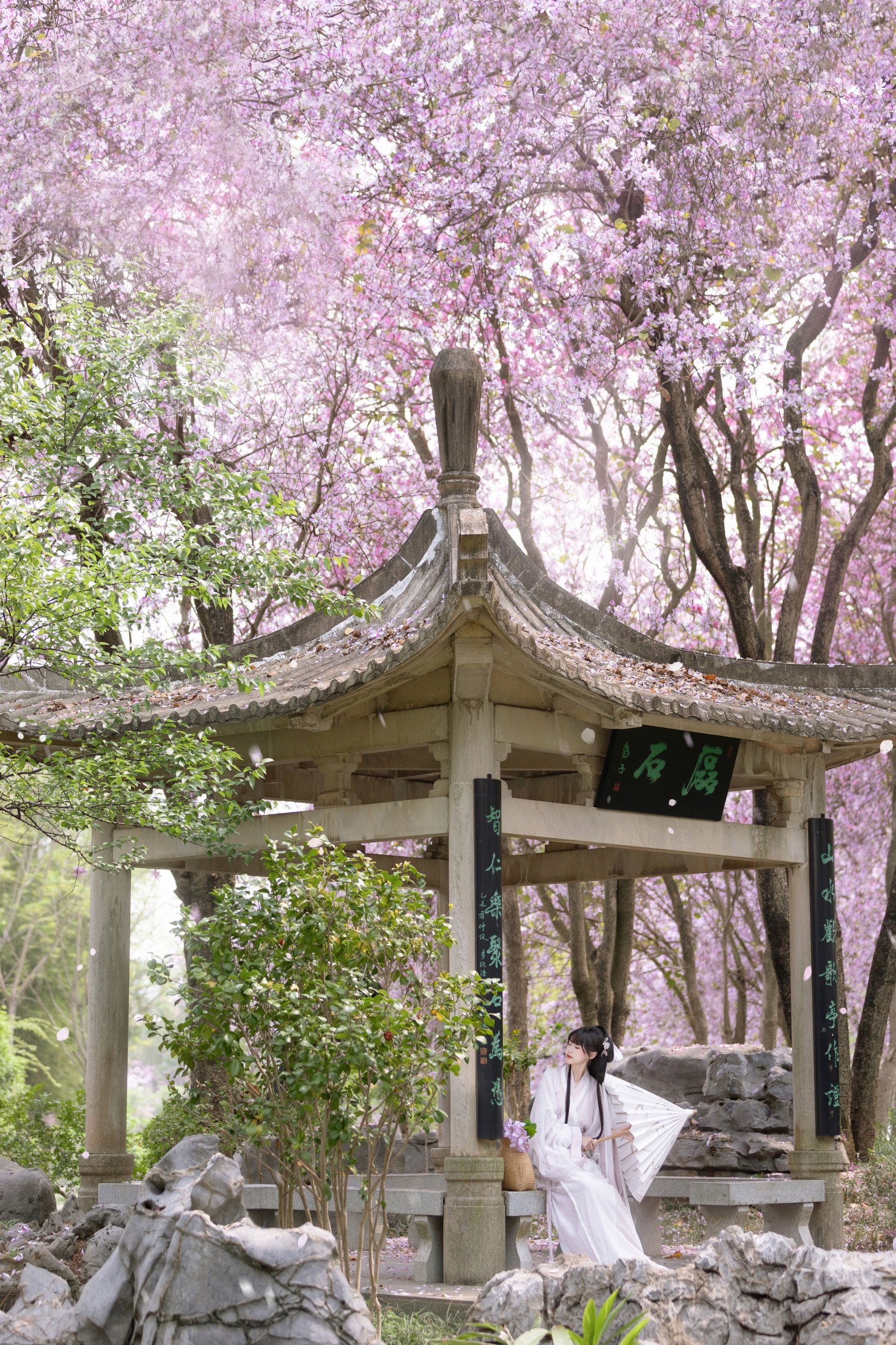 巧巧 – 《江畔寻花》[27P] 插图3