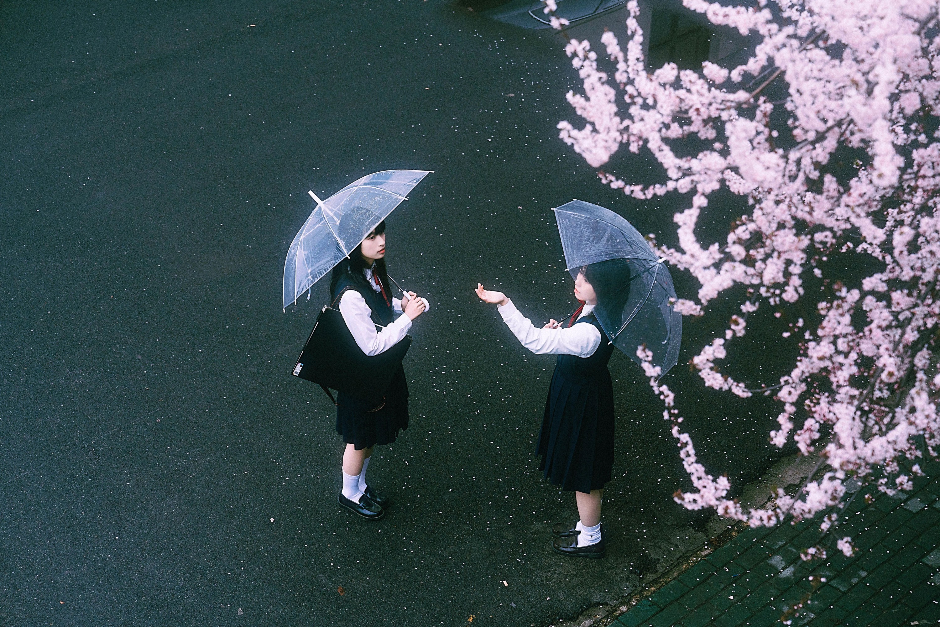 小葵不困 月亮小p – 《未完成的春分线》[32P] 插图4