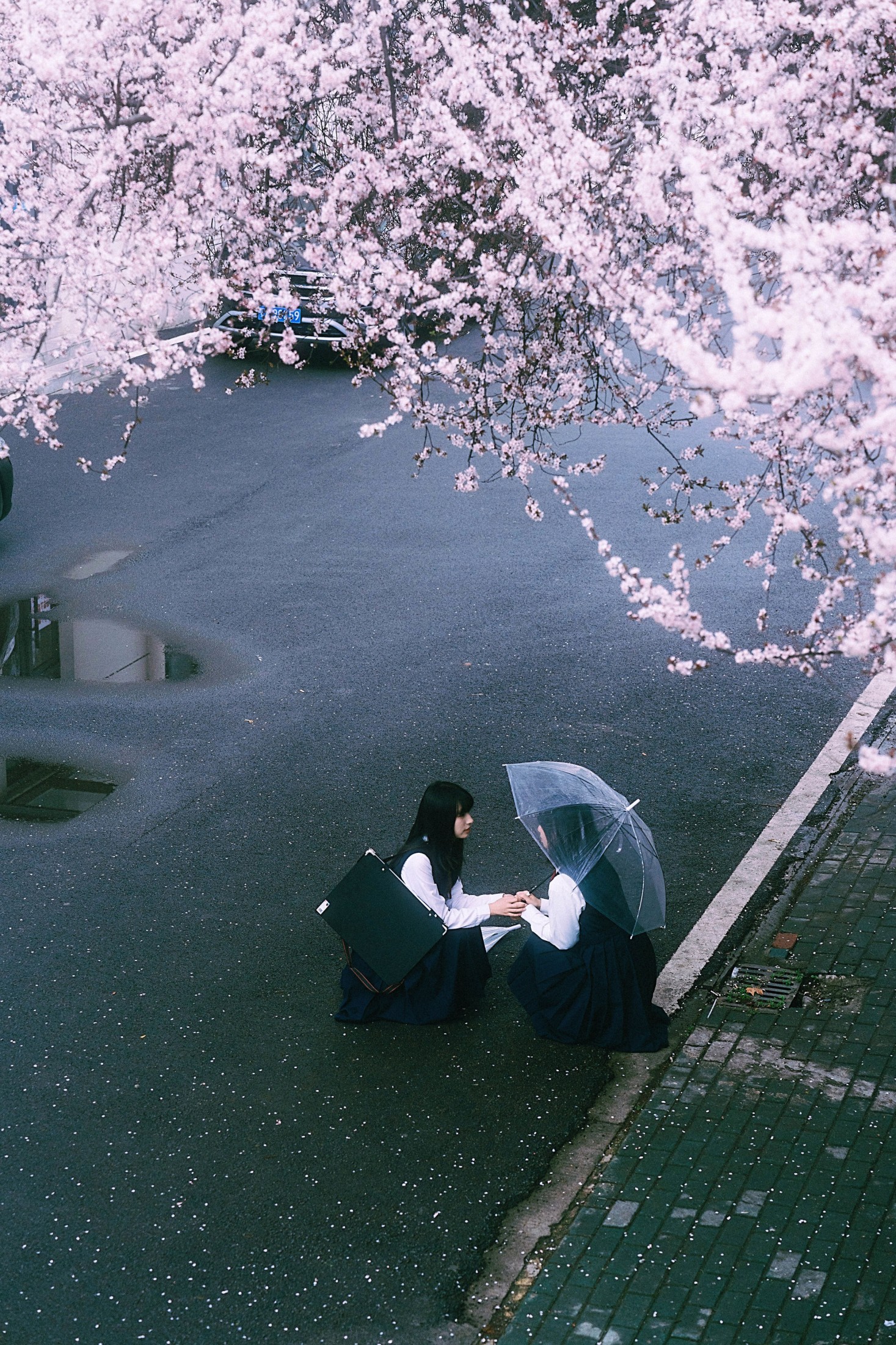 小葵不困 月亮小p – 《未完成的春分线》[32P] 插图3