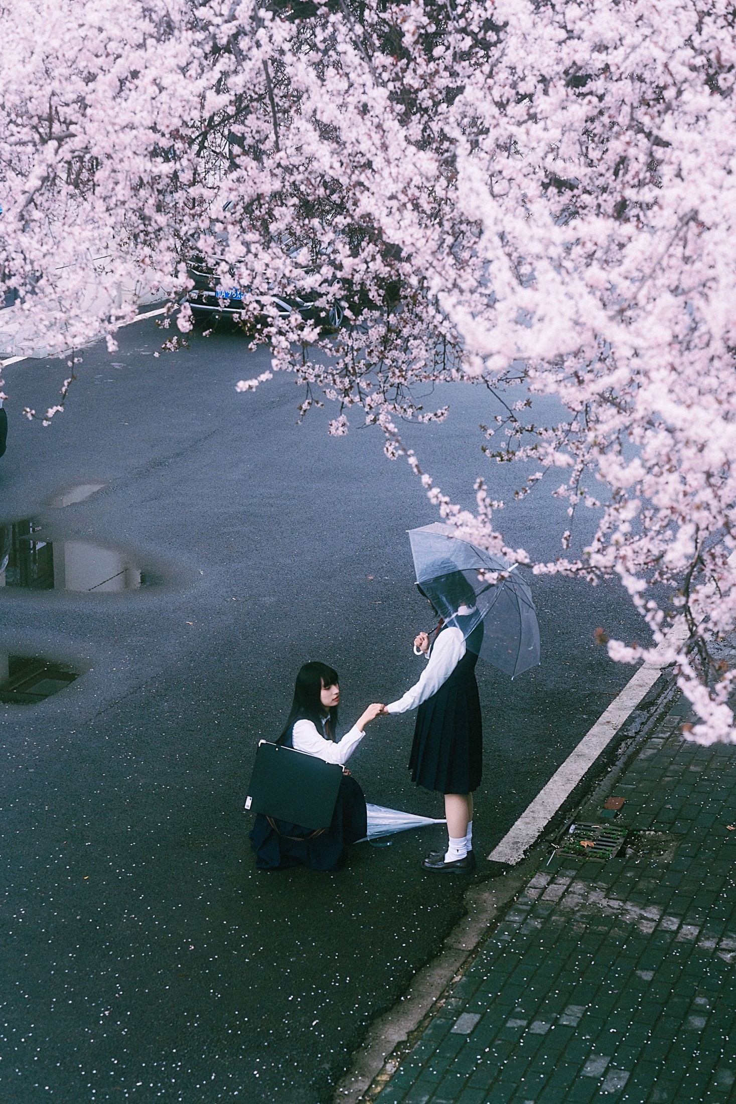 小葵不困 月亮小p – 《未完成的春分线》[32P]-66COS