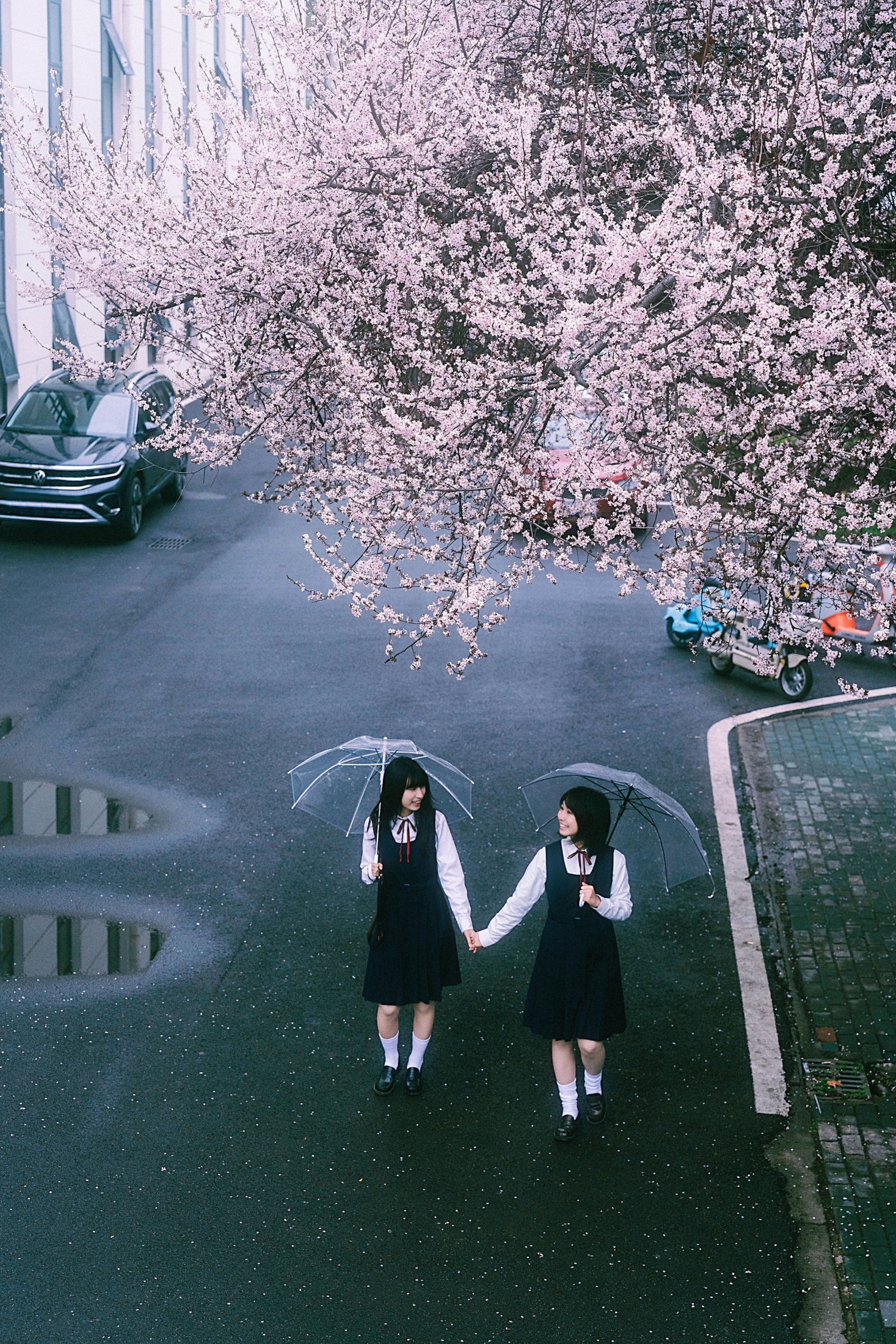 小葵不困 月亮小p – 《未完成的春分线》[32P] 插图5