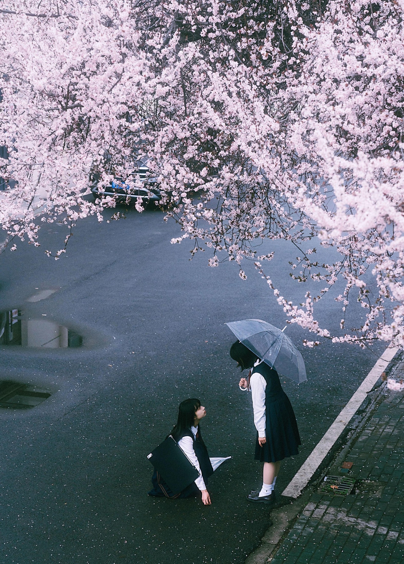 小葵不困 月亮小p – 《未完成的春分线》[32P] 插图2