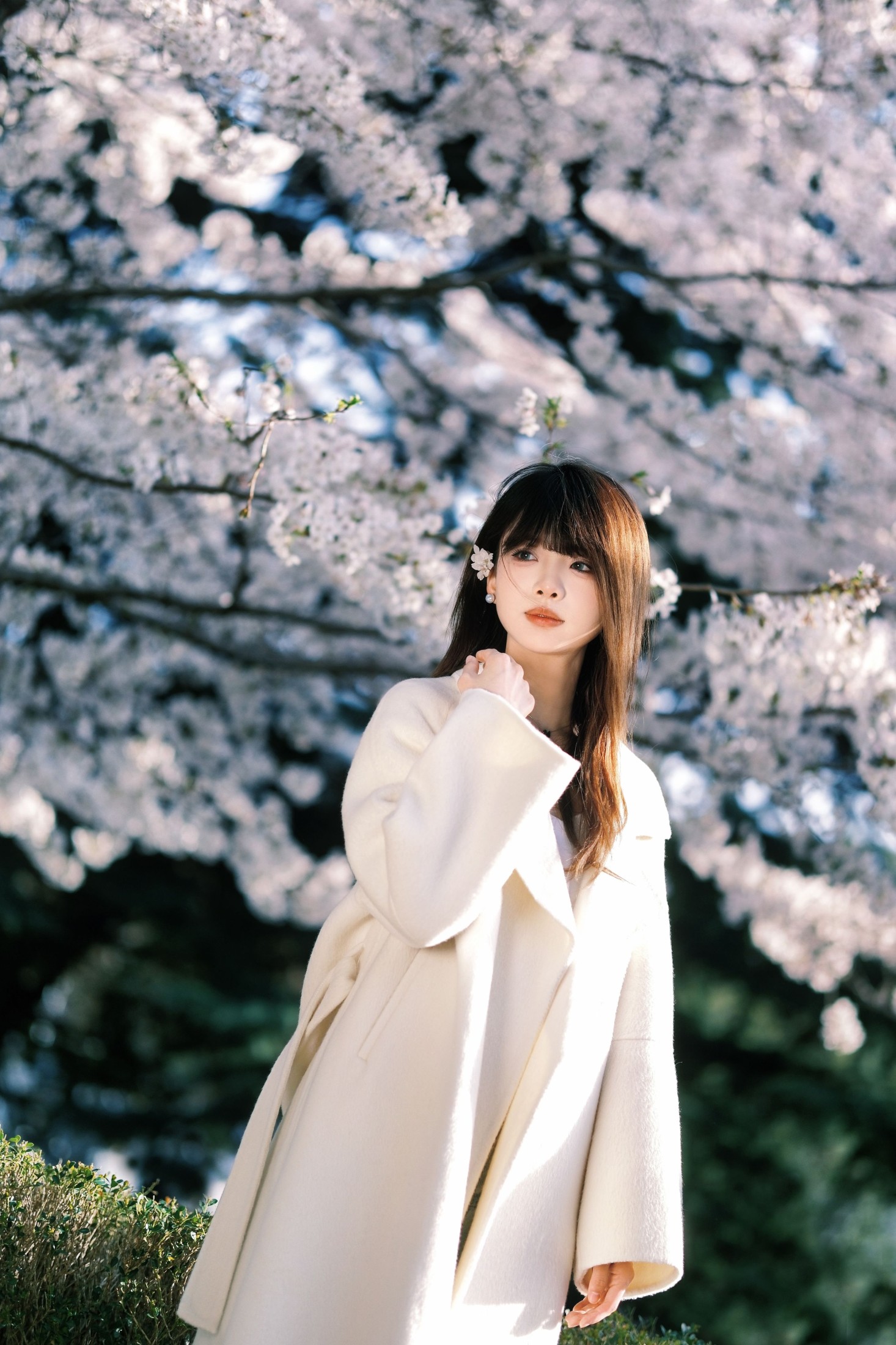 瑶瑶 – 《春樱》[18P]-66COS