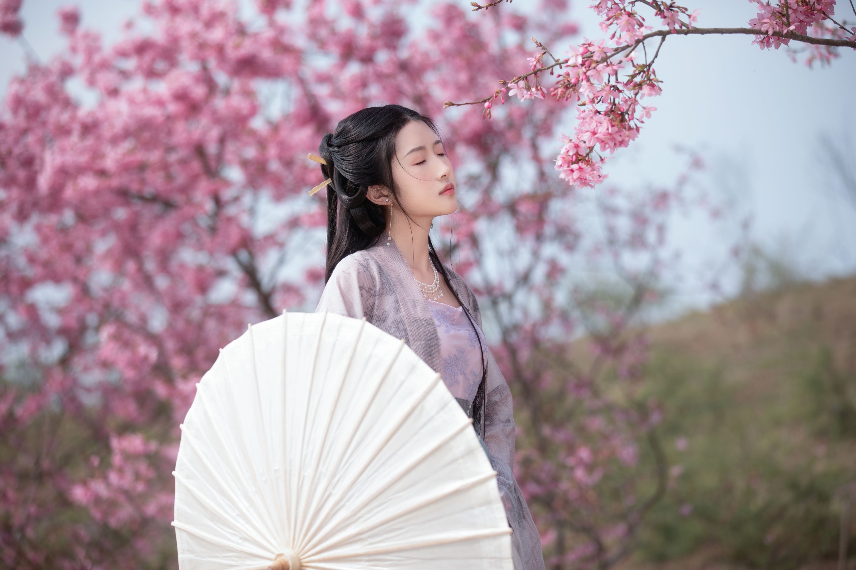 秋雨 – 《春樱》[16P]-66COS