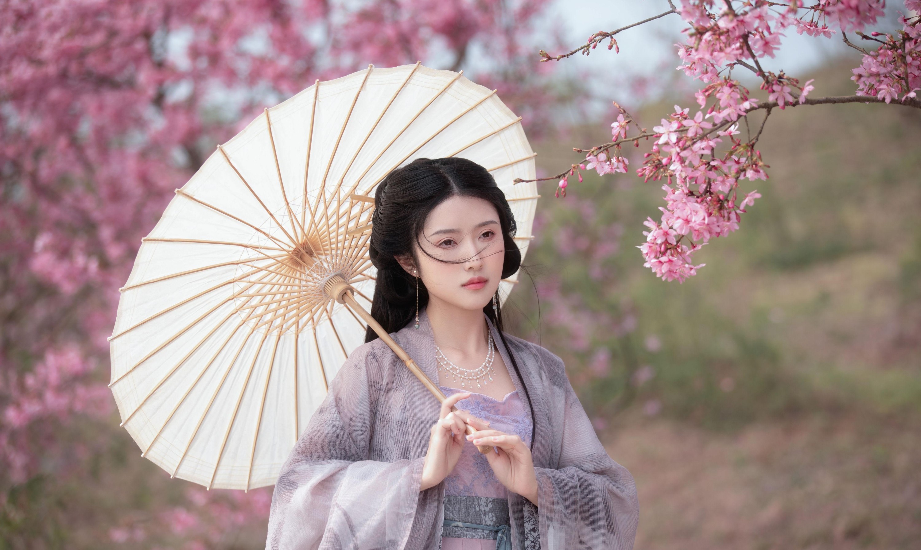 秋雨 – 《春樱》[16P] 插图2