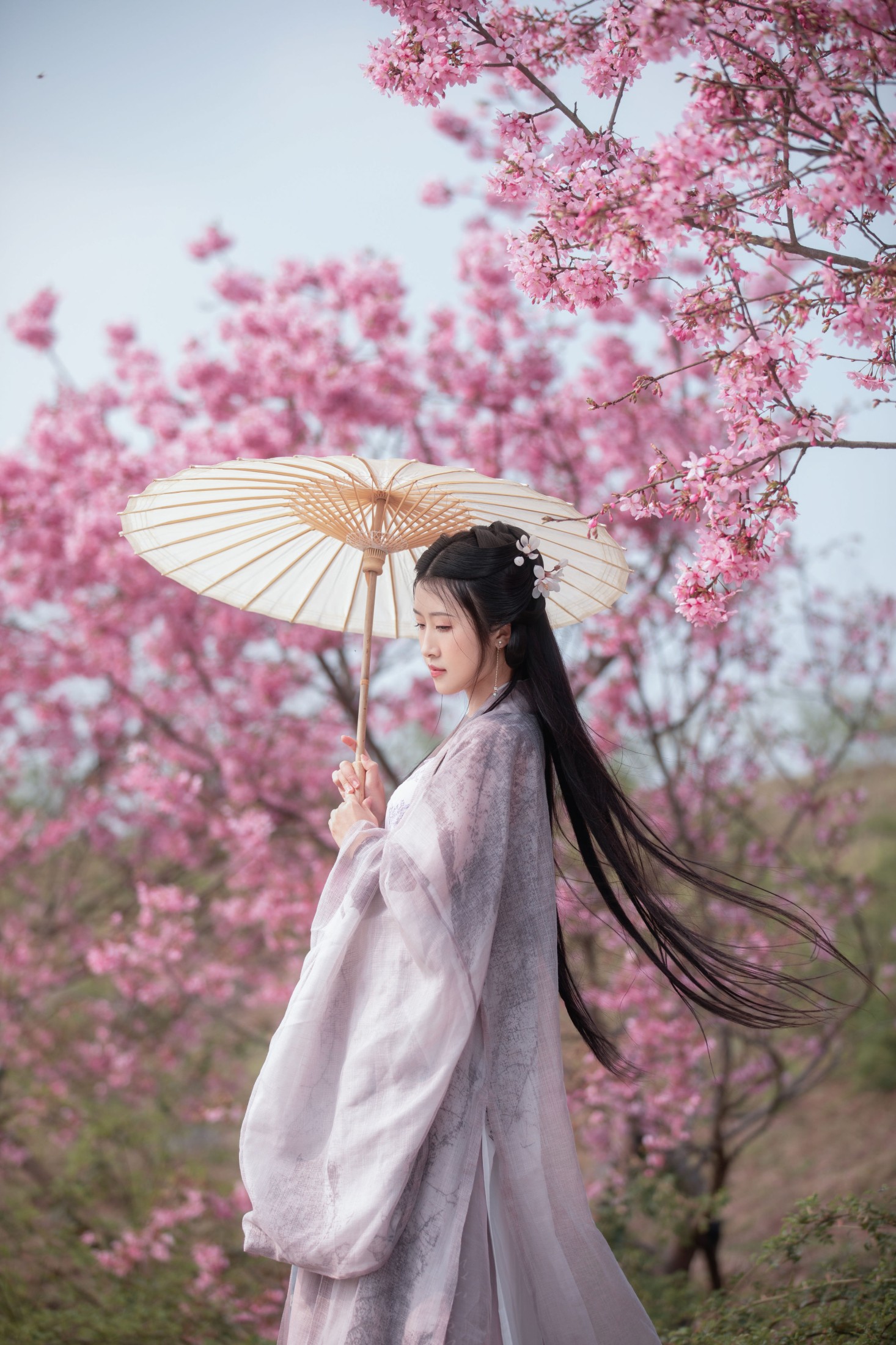 秋雨 – 《春樱》[16P] 插图4