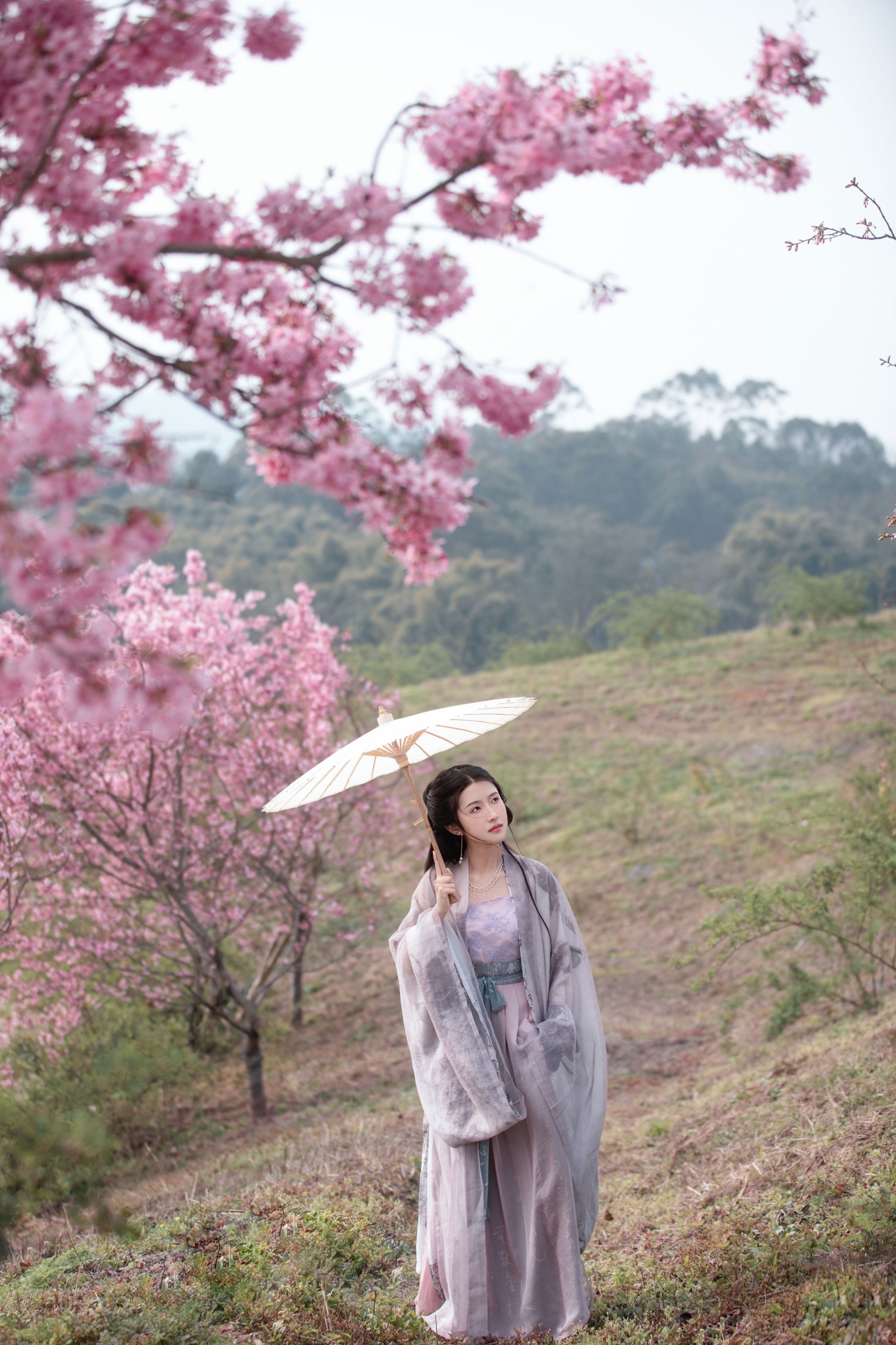 秋雨 – 《春樱》[16P] 插图5