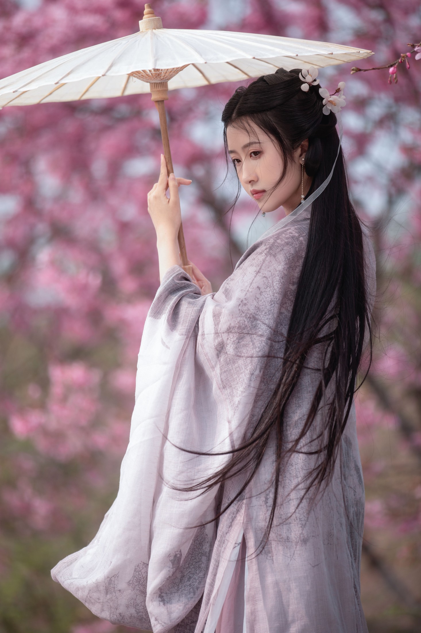 秋雨 – 《春樱》[16P] 插图3