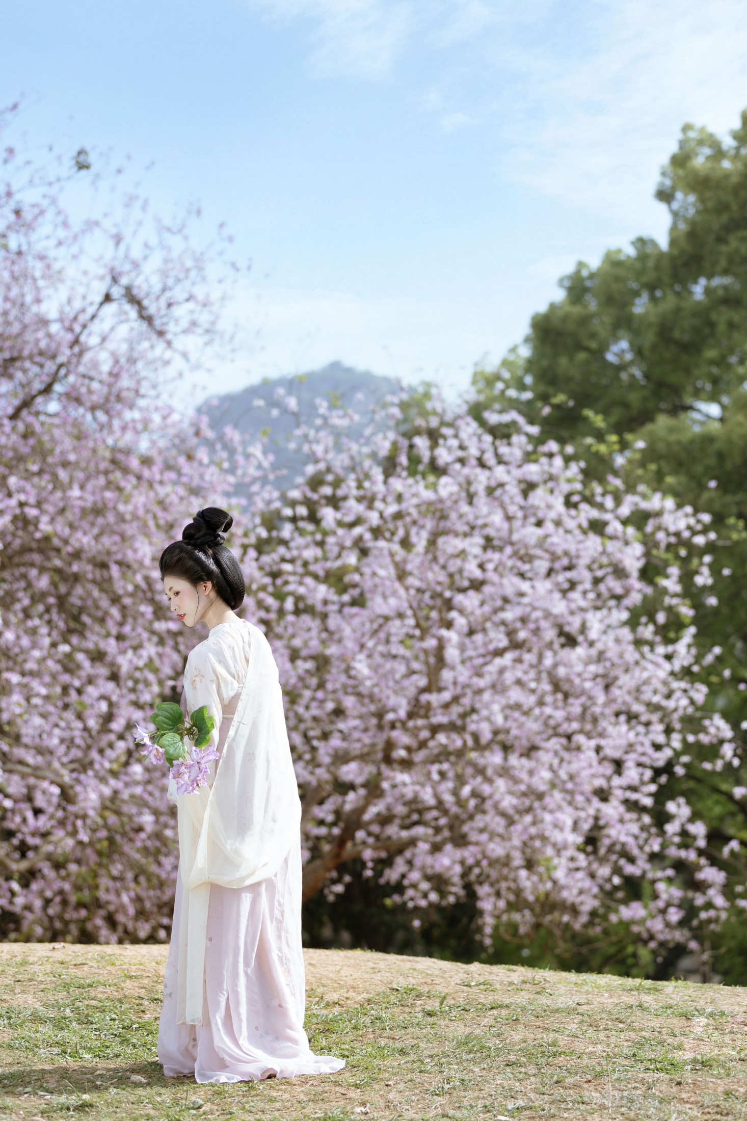 小y今天也很开心 – 《咏紫荆》[19P] 插图4